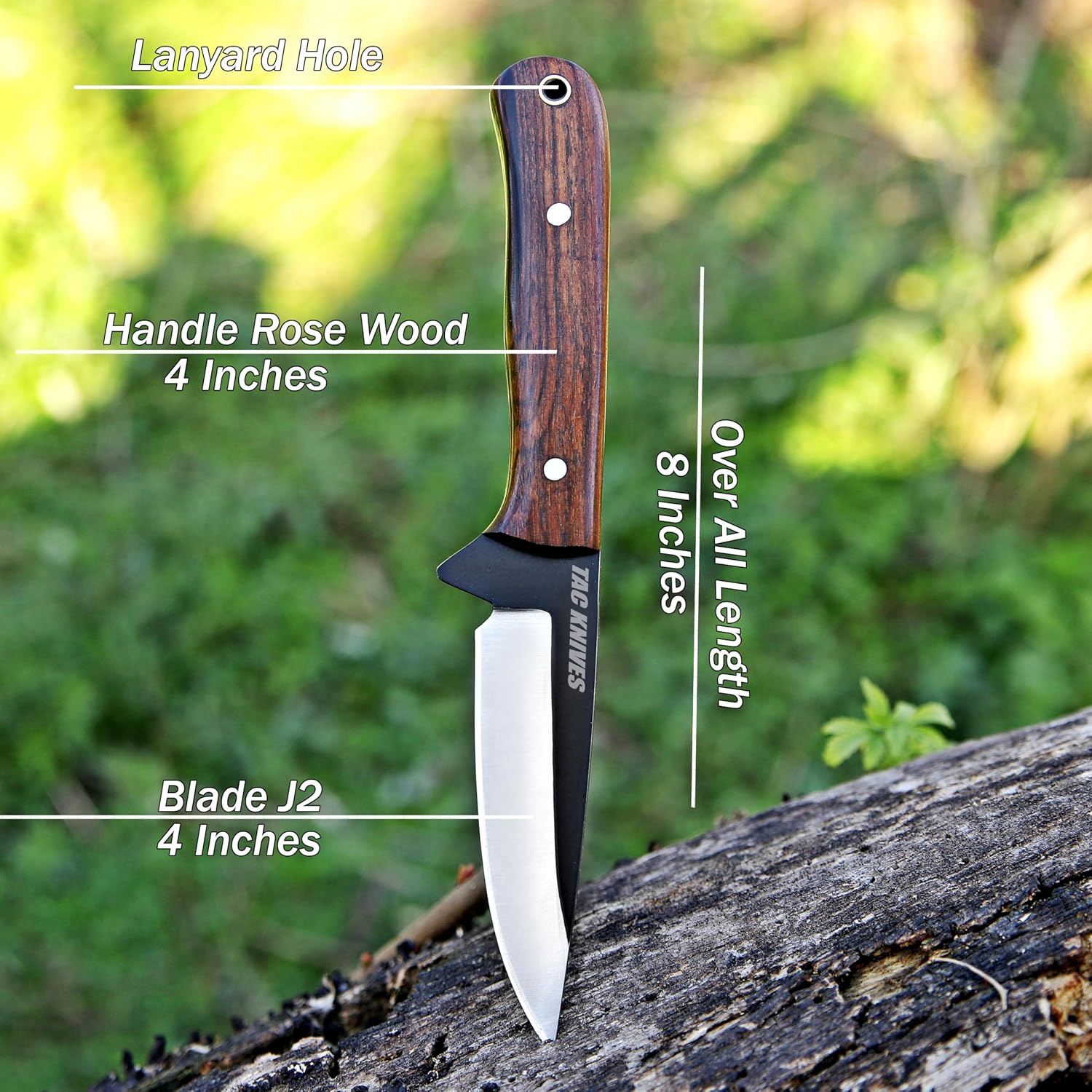 TAC KNIVES 7" Fixed Blade EDC Knife with Sheath - Damascus Steel Hunting Knife - Full Tang - Bone Handle - Pancake Carry Leather Sheath Snug Fit (WOOD 302)