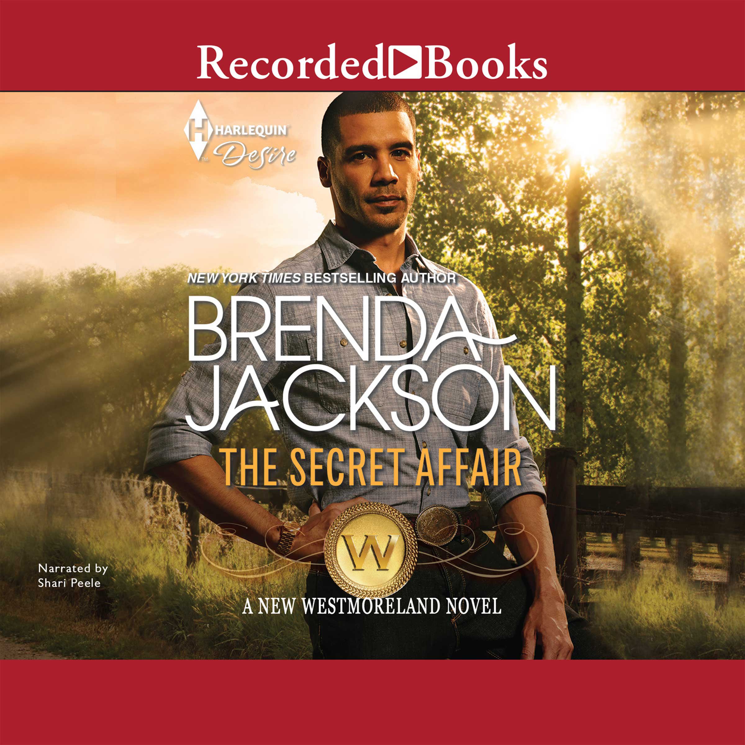 Cover art for The Secret Affair