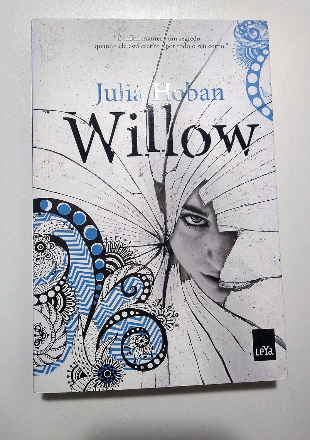 Willow (Em Portuguese do Brasil) Julia Hoban, Regina Cazzamatta