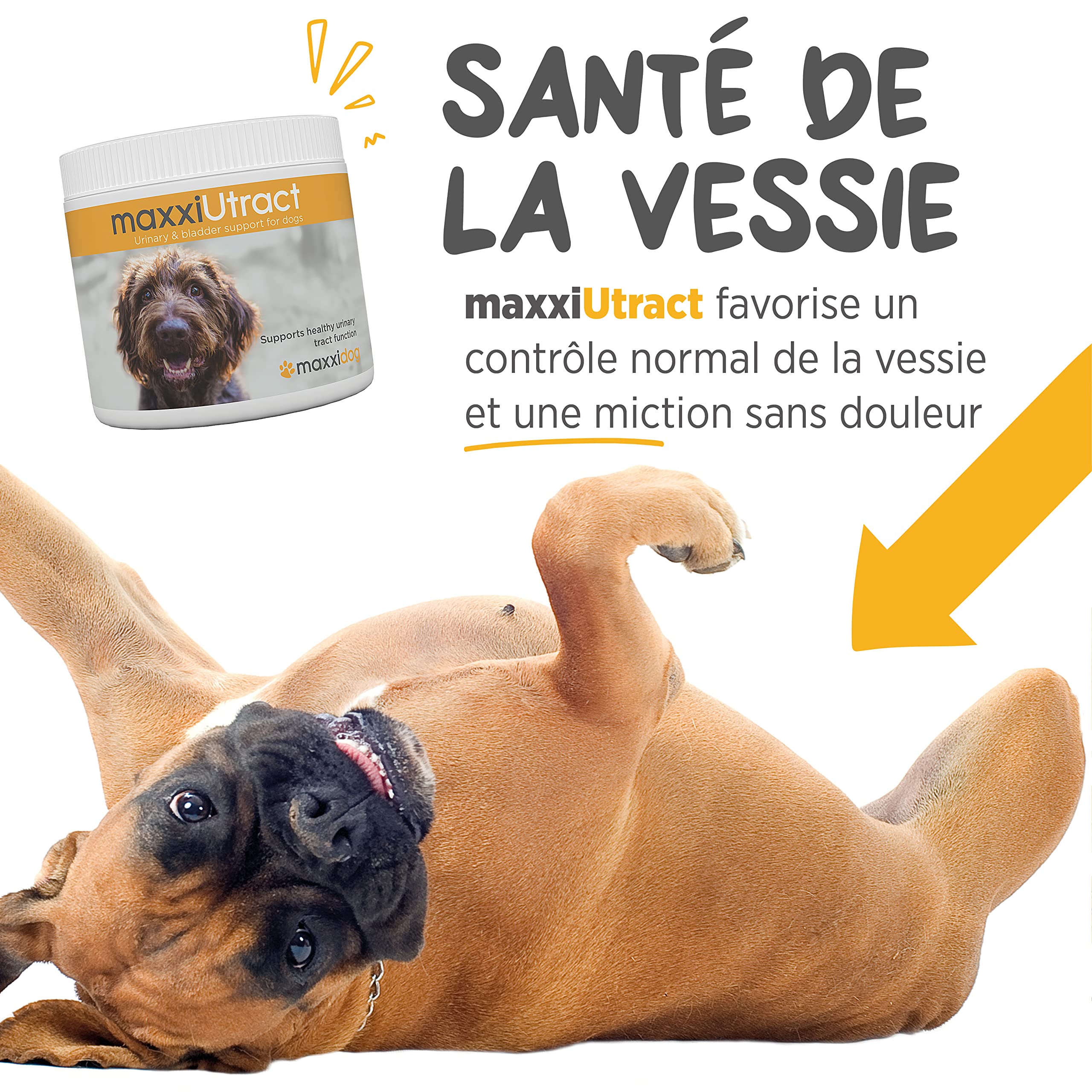 maxxipaws – maxxiUtract Canneberge Complément Alimentaire Urinaire pour la Vessie des Chiens – Supplément Canin pour Le Contrôle de la Vessie et la Santé des Voies Urinaires (Poudre 150g)