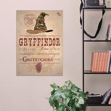 Film Cells MP17240182 Harry Potter Sorting Hat Gryffindor Mighty Print Wall Art
