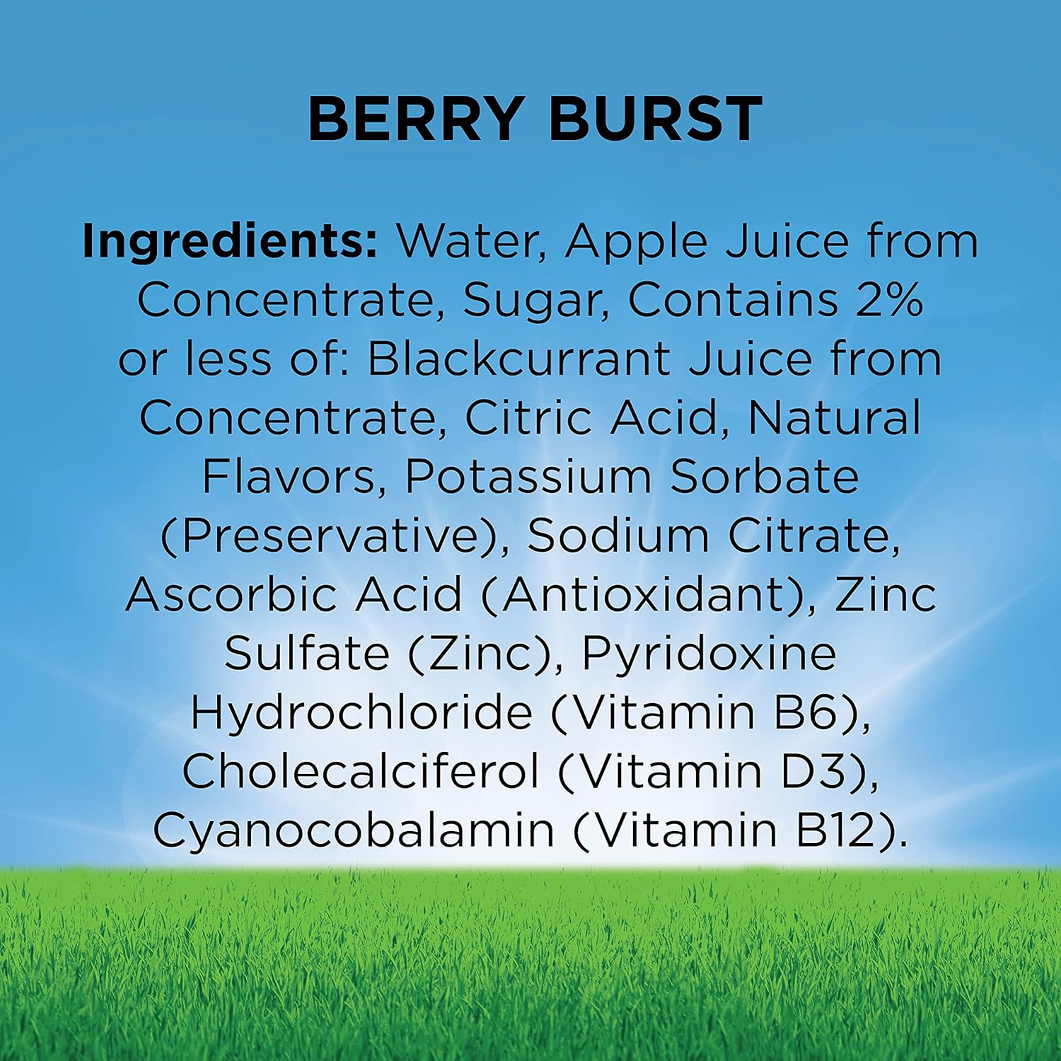 FRUIT SHOOT 10.1oz Bottles Pack, Berry Burst, 24 Count : Everything Else