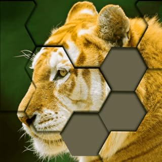 Jigsaw Hexa Puzzle - Classic Brain Teaser Block Games