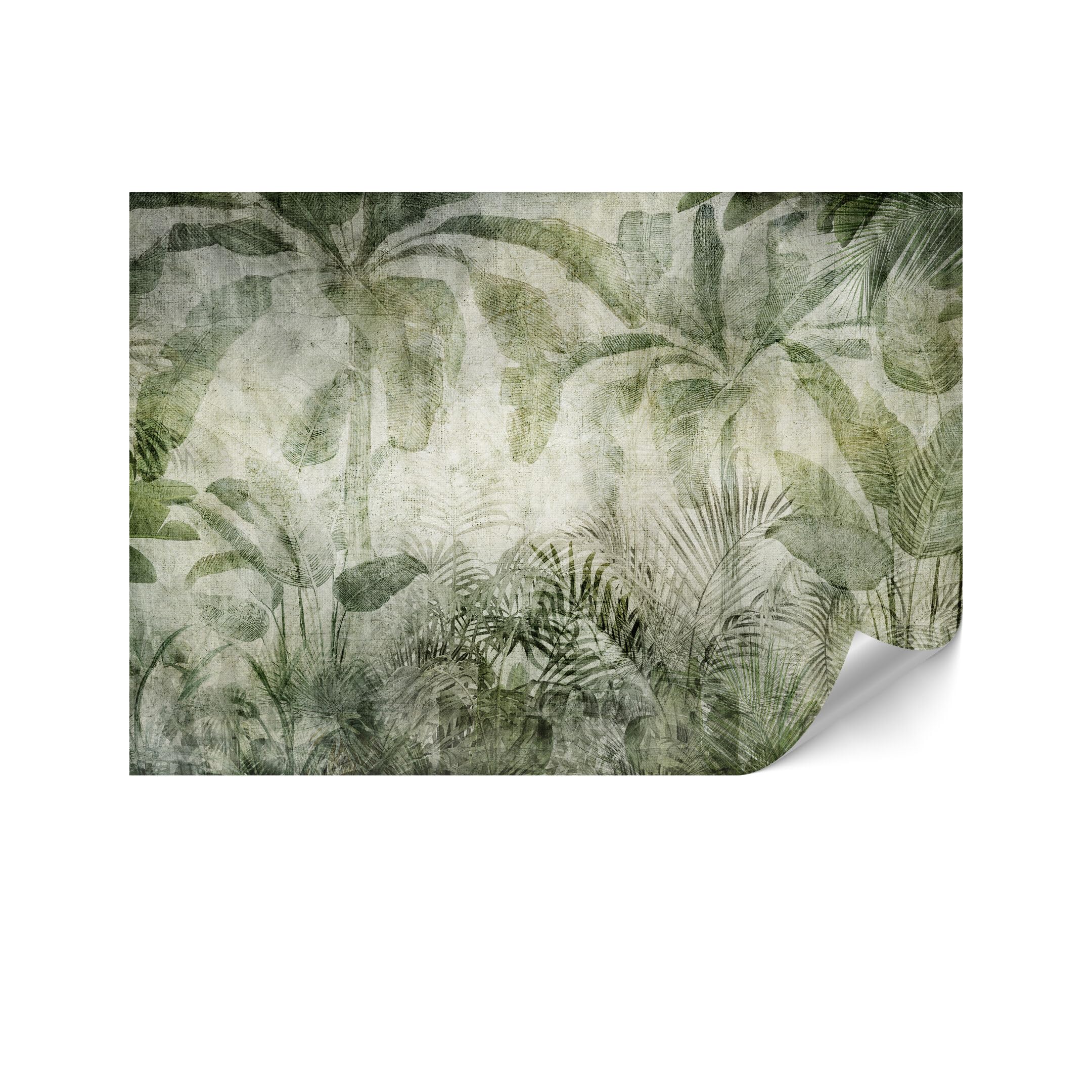 Carta da Parati 500x350 cm - Carta da Parati Camera da Letto Natura - Panelli da Parete Moderne - Panelli Murali di Alta Qualità Facili da installare - Verde