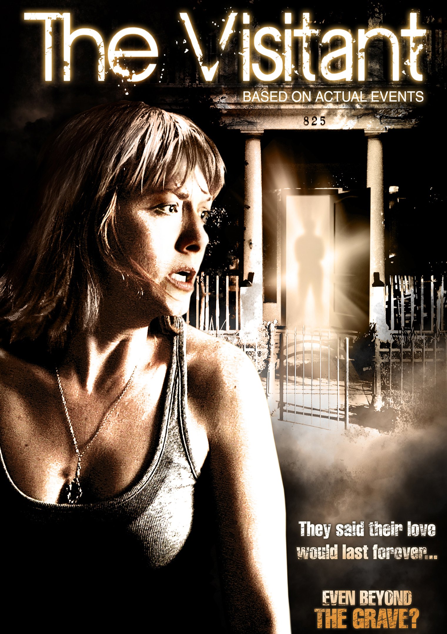 Película The Visitant [USA] en formato DVD importado de Estados Unidos