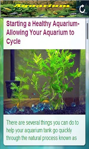 Aquarium