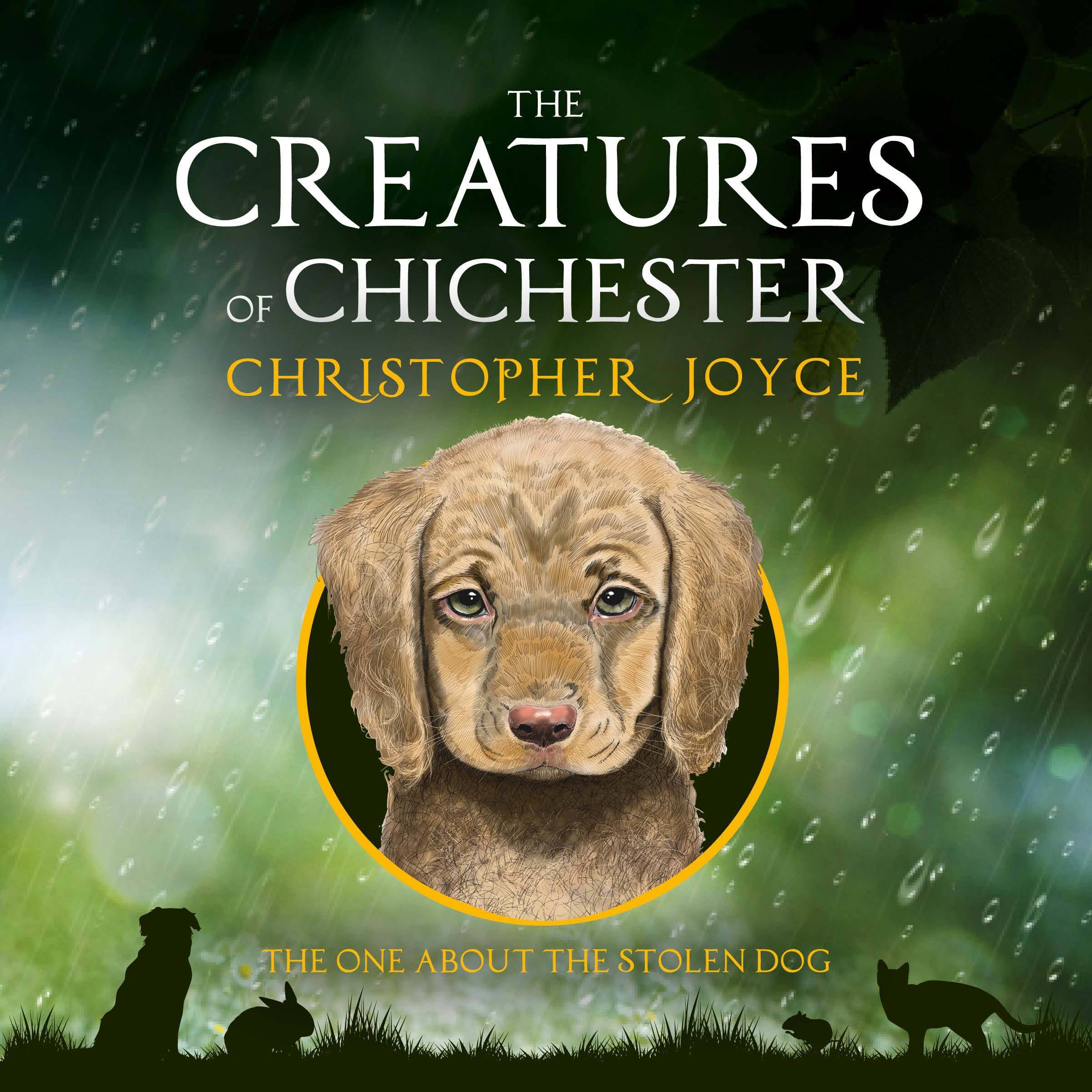 Cover art for The One About the Stolen Dog