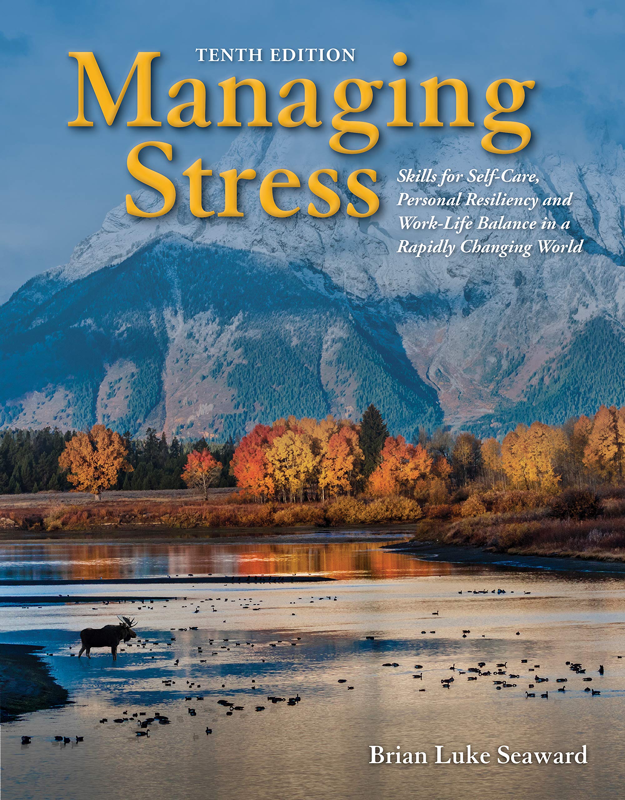 Managing Stress: Skills for Self-Care, Personal Resiliency and Work-Life Balance in a Rapidly Changing World