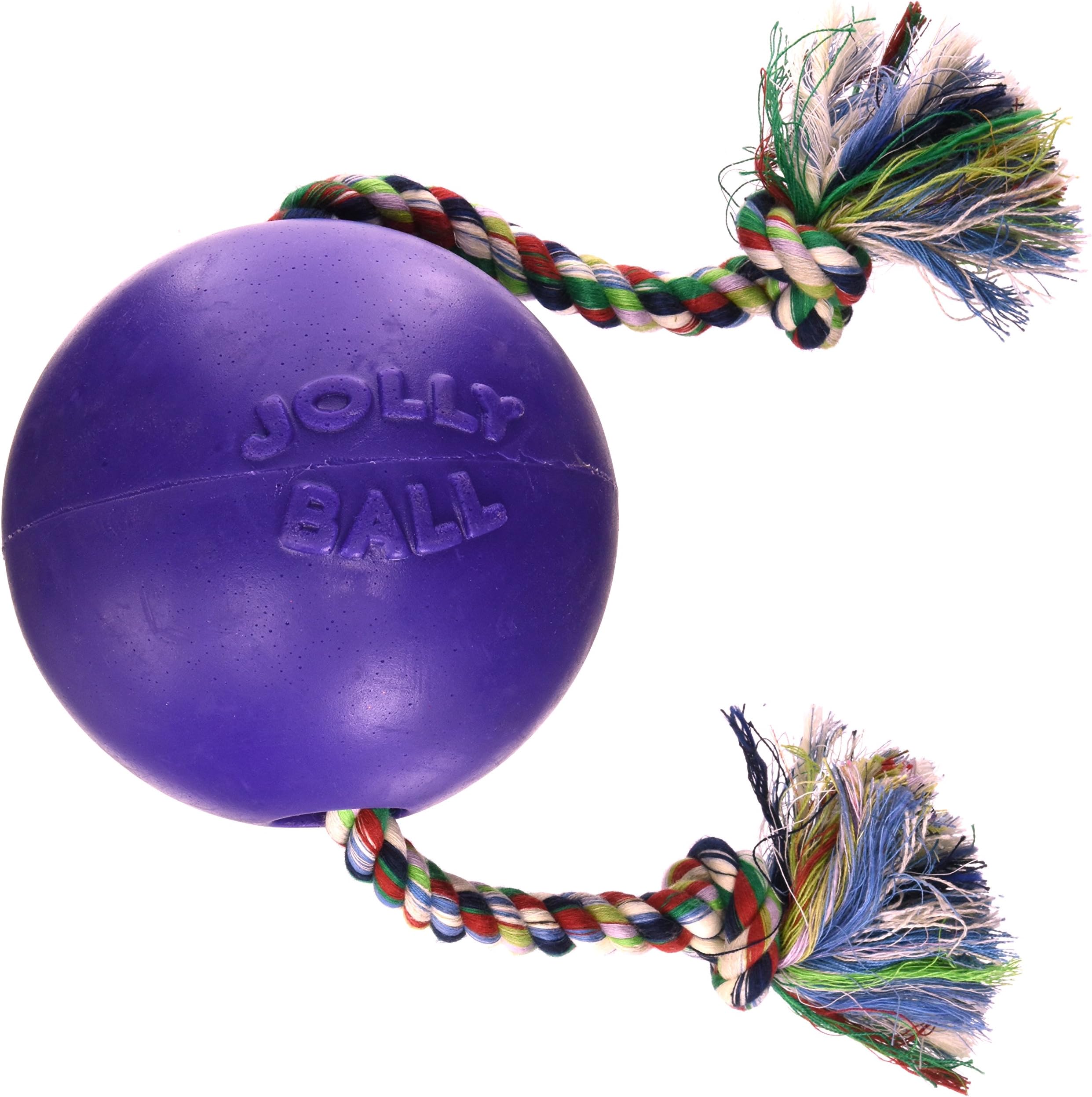 Pet Supplies Pet Toy Balls Jolly Pets Romp and Roll Ball, Purple (6