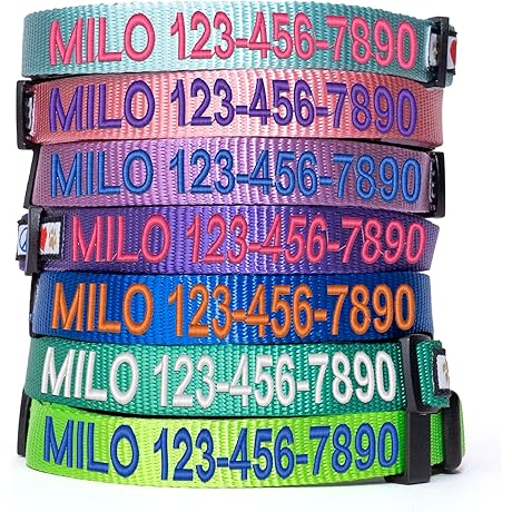 Personalized Small Dog Collar with Embroidery by Pawtitas: Style and Safety for Your Furry Friend