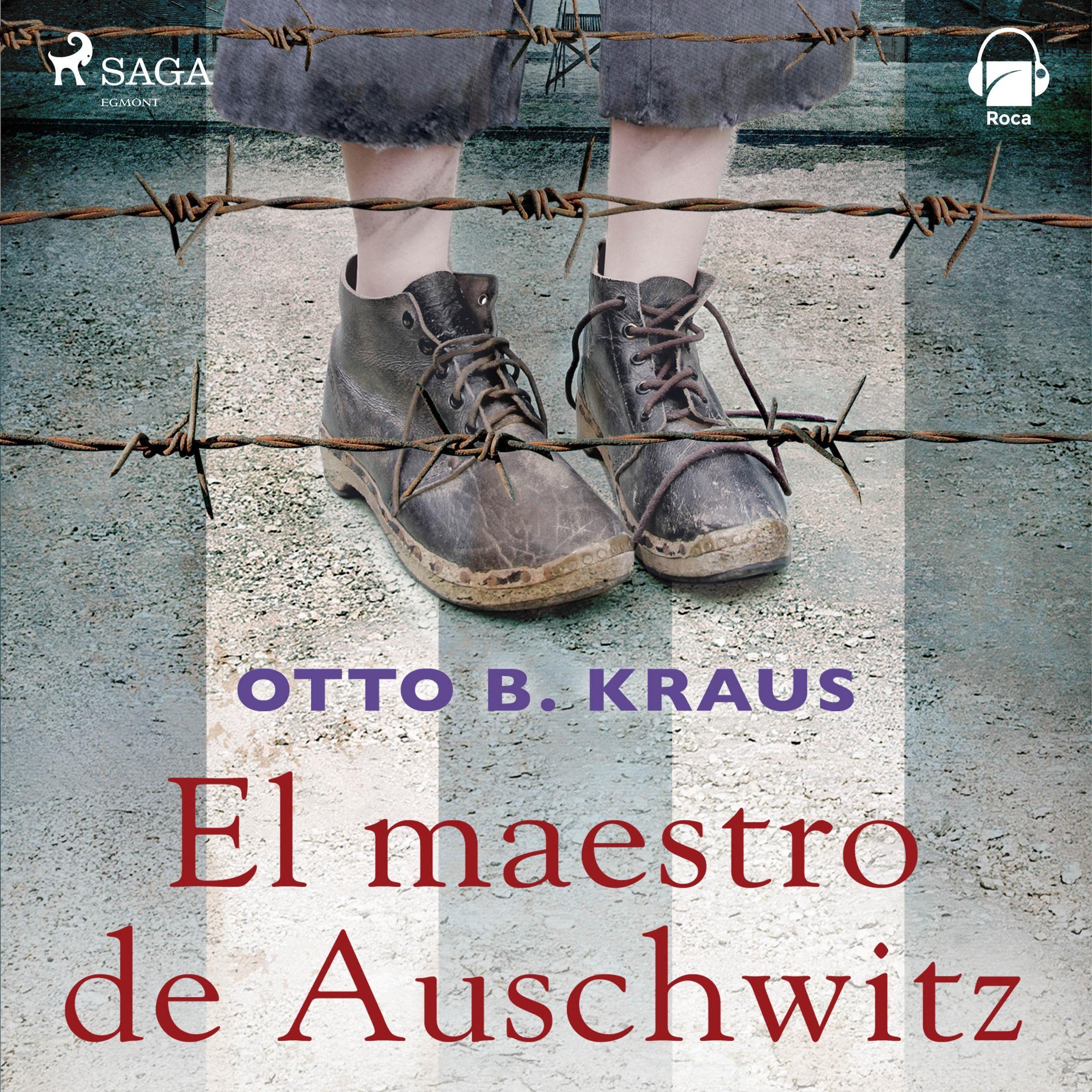 Cover art for El maestro de Auschwitz