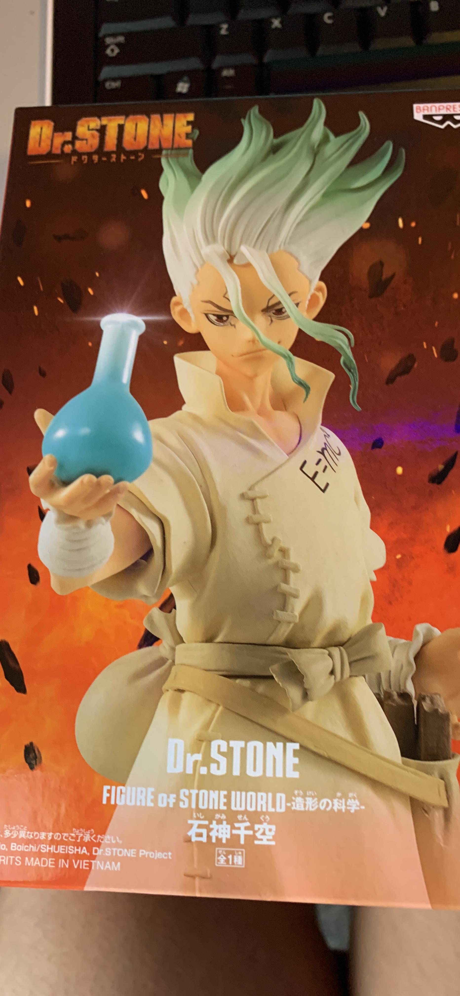 Figurine Dr. Stone Figure Of Stone World 18 à 19 cm – Dr. Stone