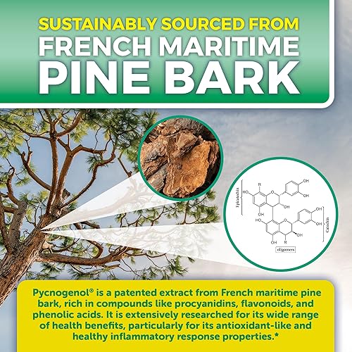 Miniatura 4 de Pycnogenol 100 mg de extracto de corteza de pino marítimo francés suplementos saludables de circulación sanguínea potente protección antioxidante