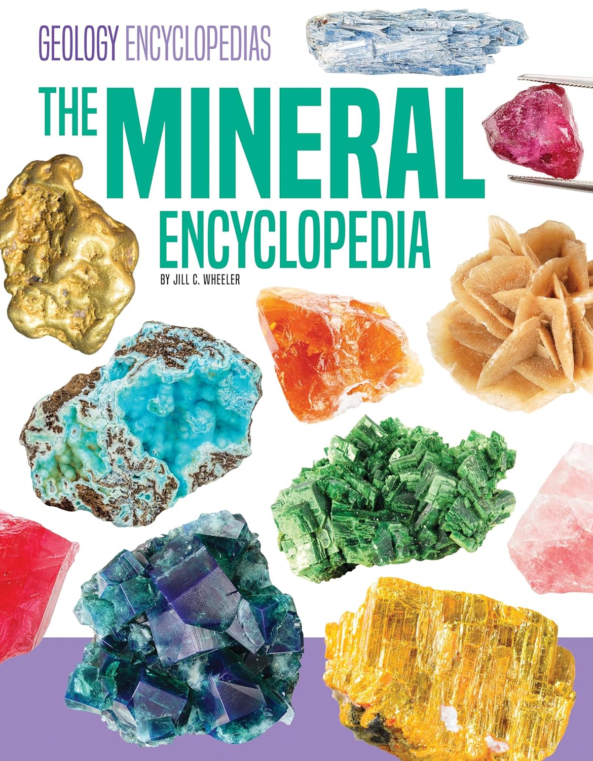 Mineral Encyclopedia (Geology Encyclopedias)      Library Binding – December 15, 2025