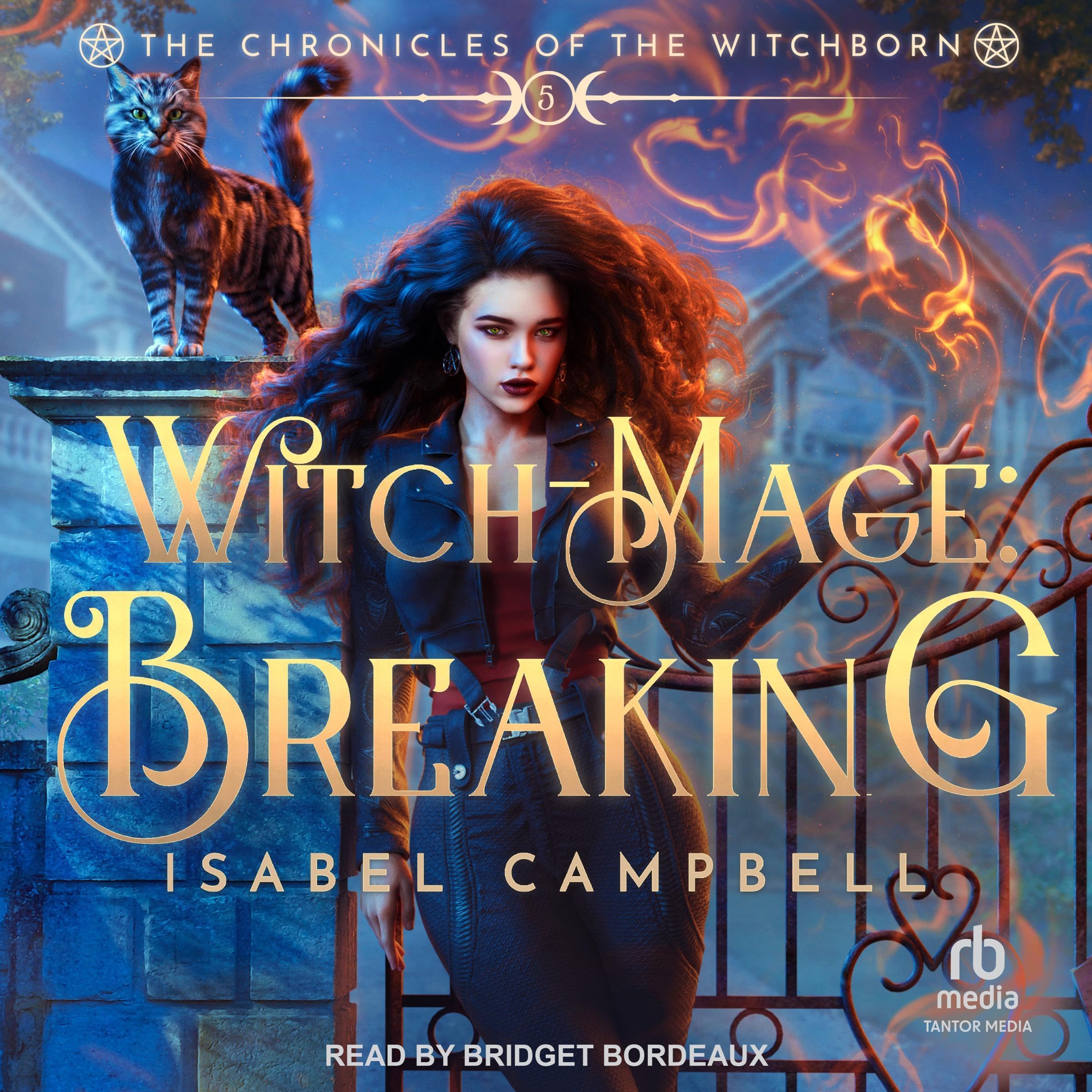 Cover art for Witch-Mage: Breaking