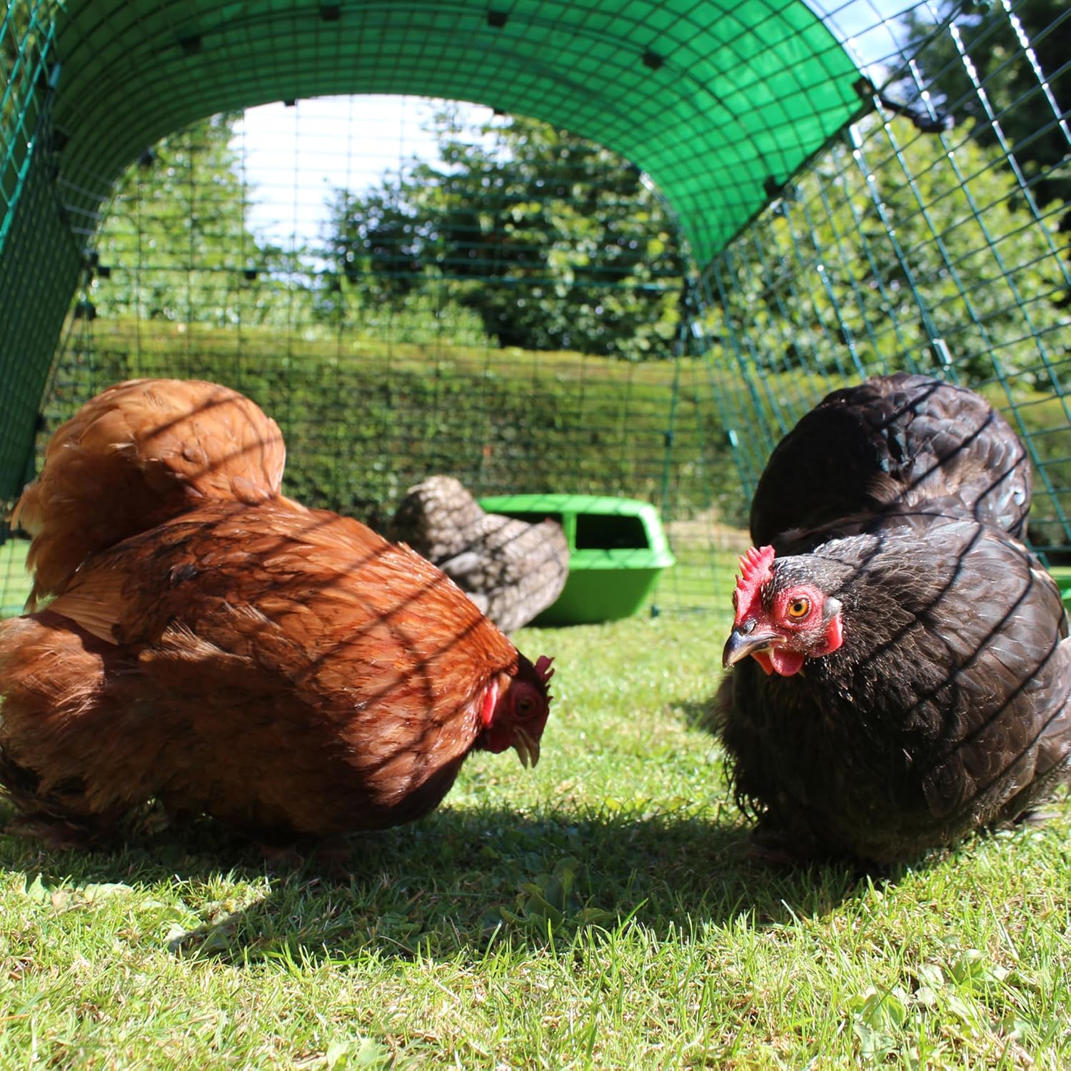 Omlet Eglu Go Chicken Coop - Image 7