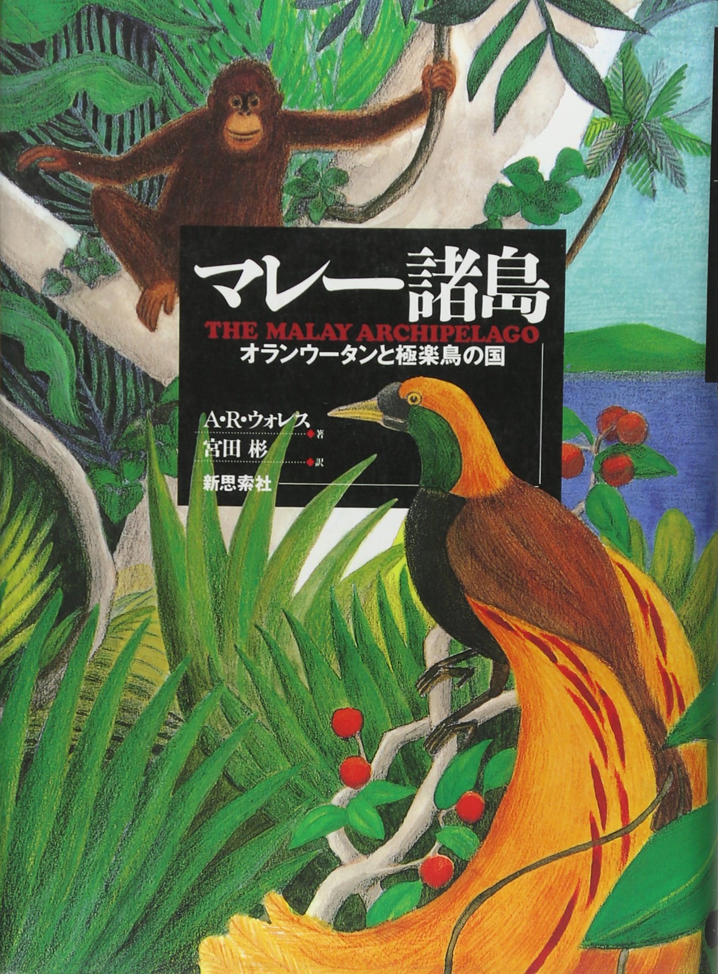 マレー諸島 オランウータンと極楽鳥の国 A R ウォレス Wallace Alfred Russel 彬 宮田 本 通販 Amazon