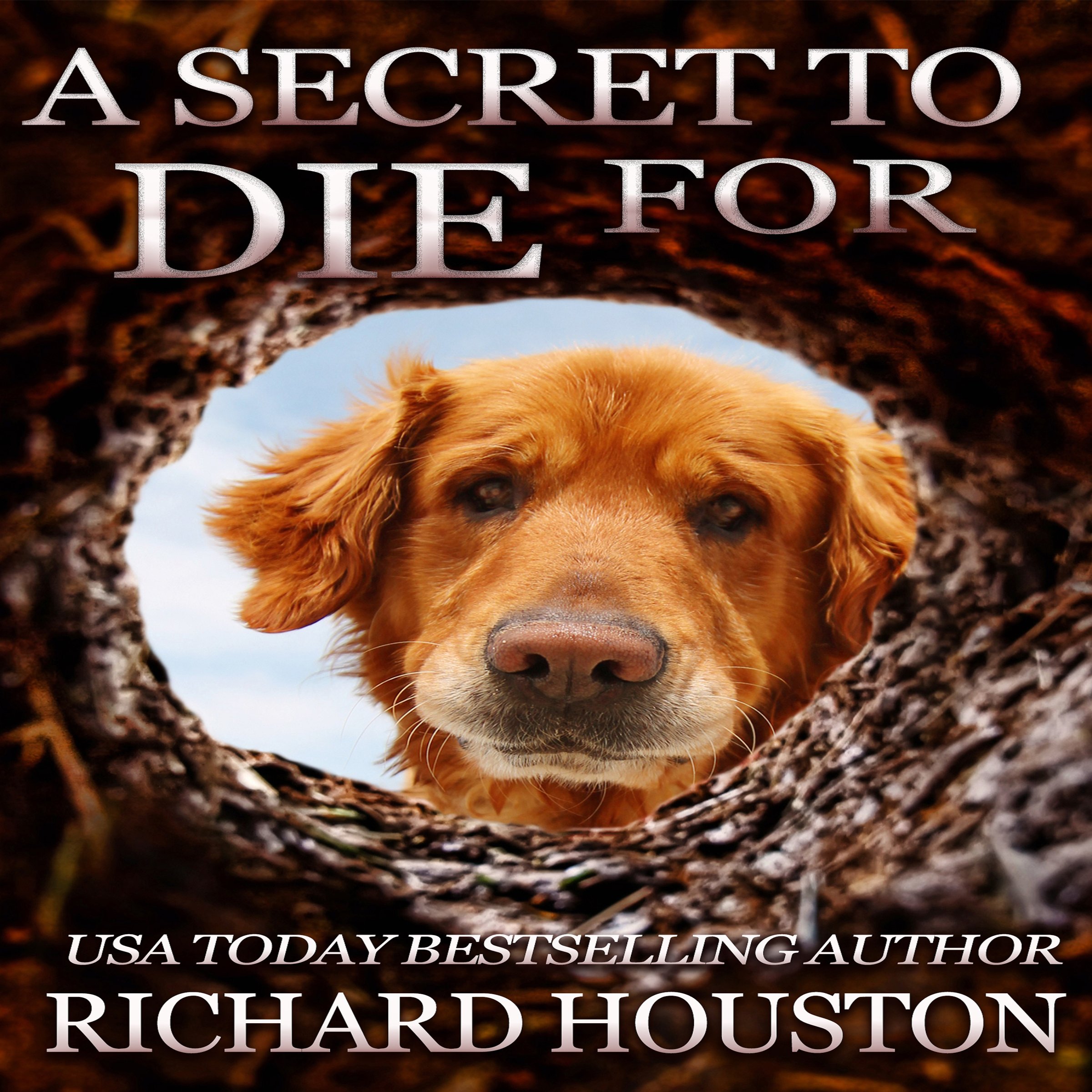 Cover art for A Secret to Die For