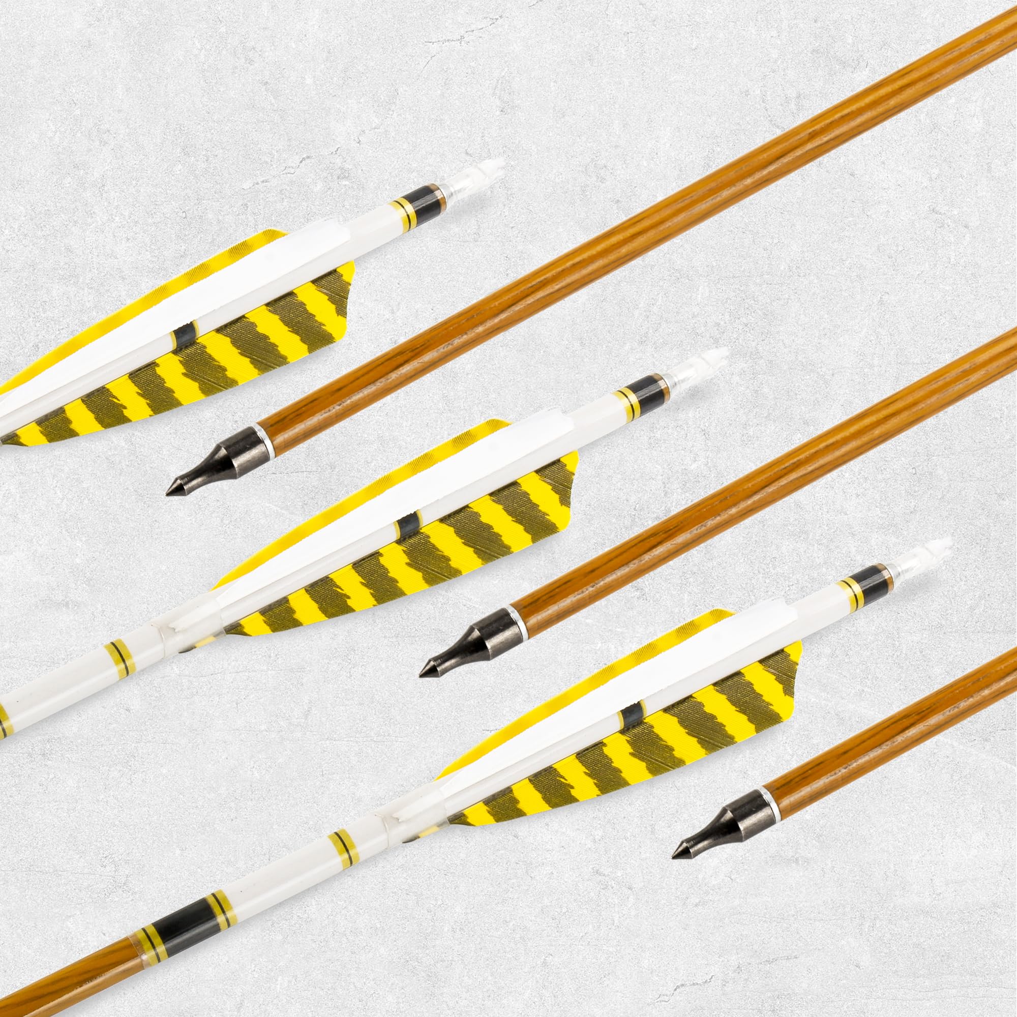 12 Flèches Carbone 31 Pouces avec Plumes Naturelles pour Tir à l'arc Adultes Recurve et Traditionnel