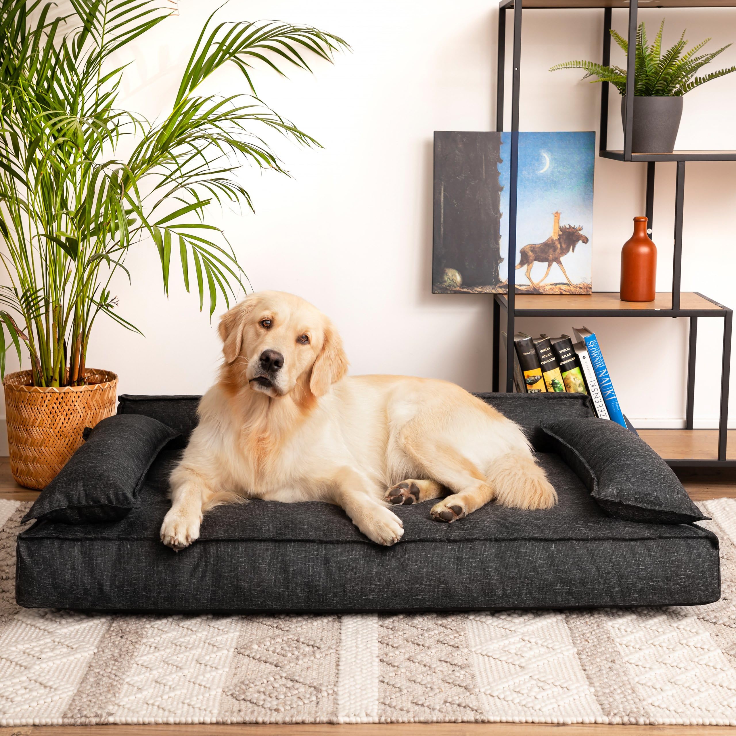 PillowPrim Legowisko dla psa, materac dla zwierząt domowych, legowisko dla kota, poduszka dla psa, kosz dla psa, sofa dla psa, ortopedyczne, meble, czarne, 120 x 77 cm