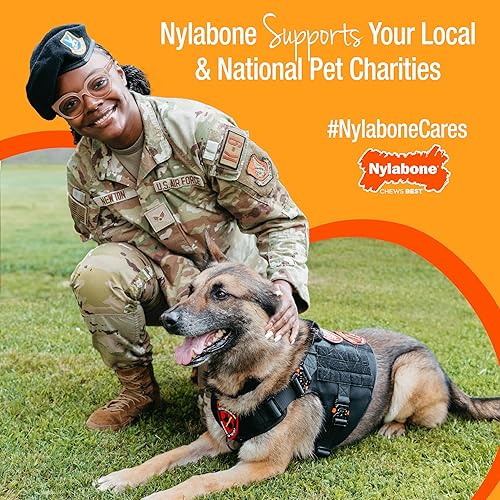 Miniatura 13 de Nylabone Power Chew Classic Bone Chew Toy for Dogs, Durable Dog Toys for Aggressive Chewers, Bacon Flavor, MediumWolf - Up to 35 lbs. (1 Count)
