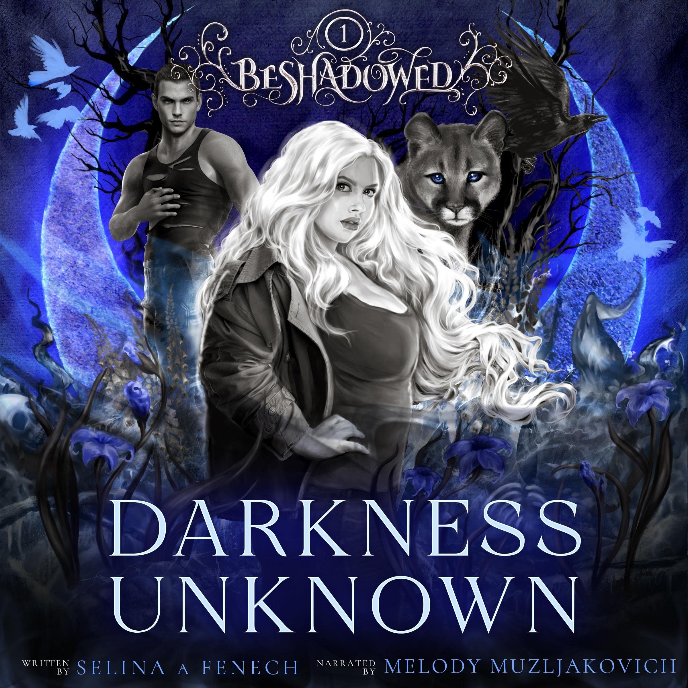 Cover art for Darkness Unknown