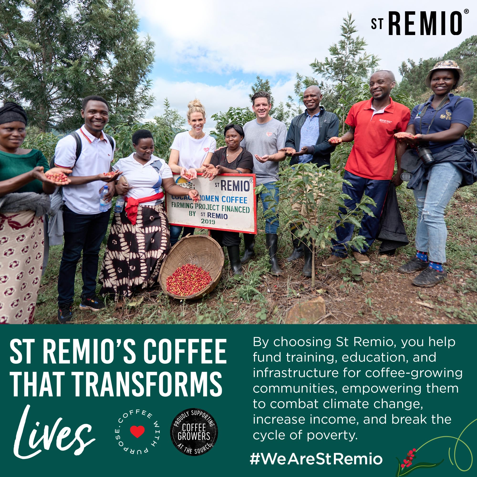 ST REMIO Coffee Pods Single Serve Cups Medium Roast Compatible with Keurig K-Cup 2 0 Brewers USDA Organic — view 6