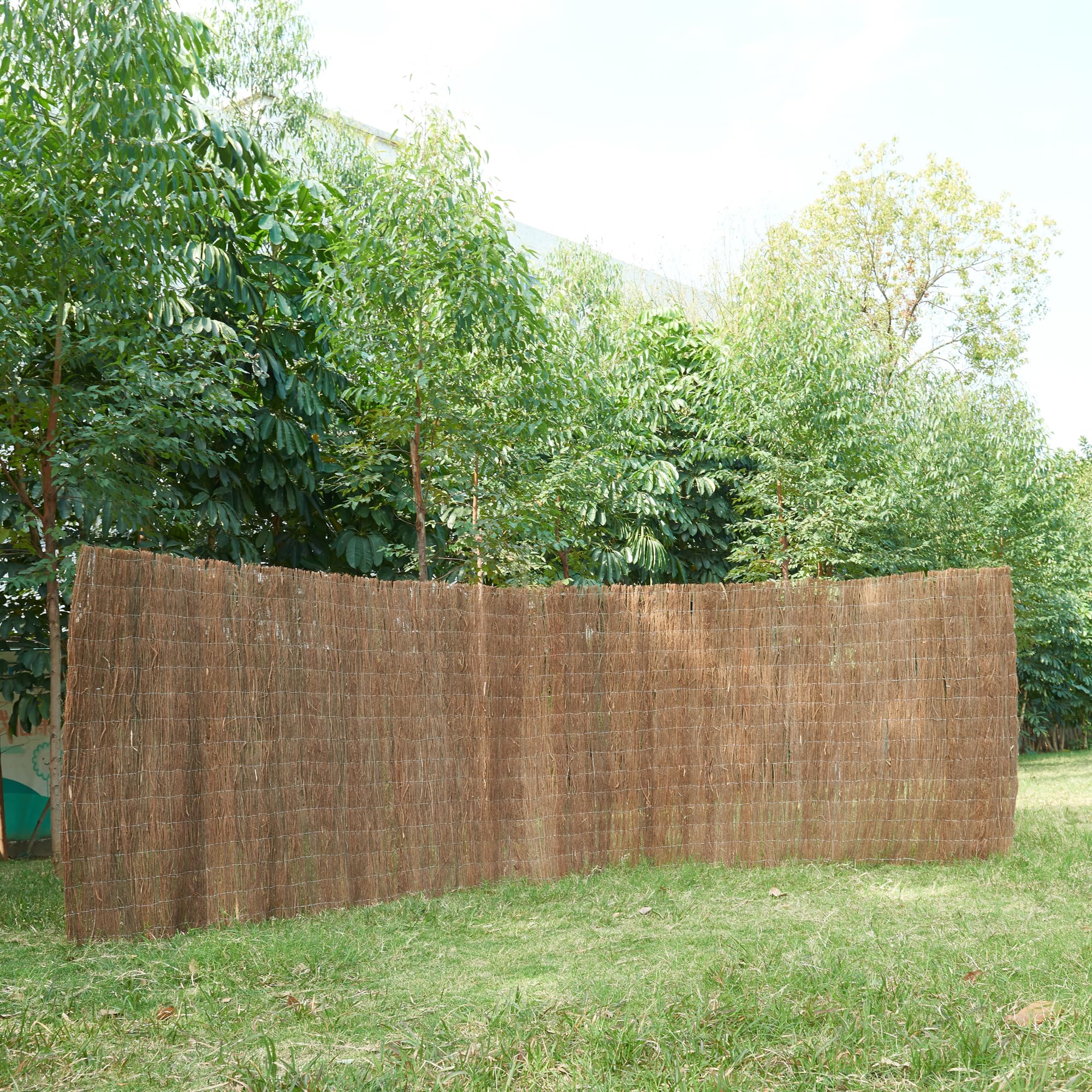 casa.pro Brise-Vue en Brande de Bruyère Canisse en Brindilles Protection contre Regards Vent Soleil Clôture Décorative Séparation Résistant Densité de Surface 1,5 kg/m² 500 x 200 cm Naturel
