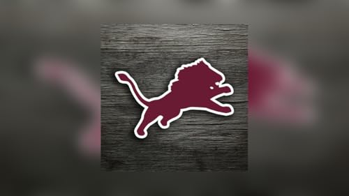 Brownwood Lions Football Replay