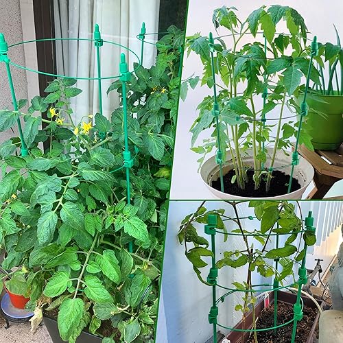 Miniatura 6 de Jaula de tomate ajustable para soporte de plantas de 36 pulgadas, enrejado de pepino de jardín, estaca para plantas con 4 anillos ajustables,