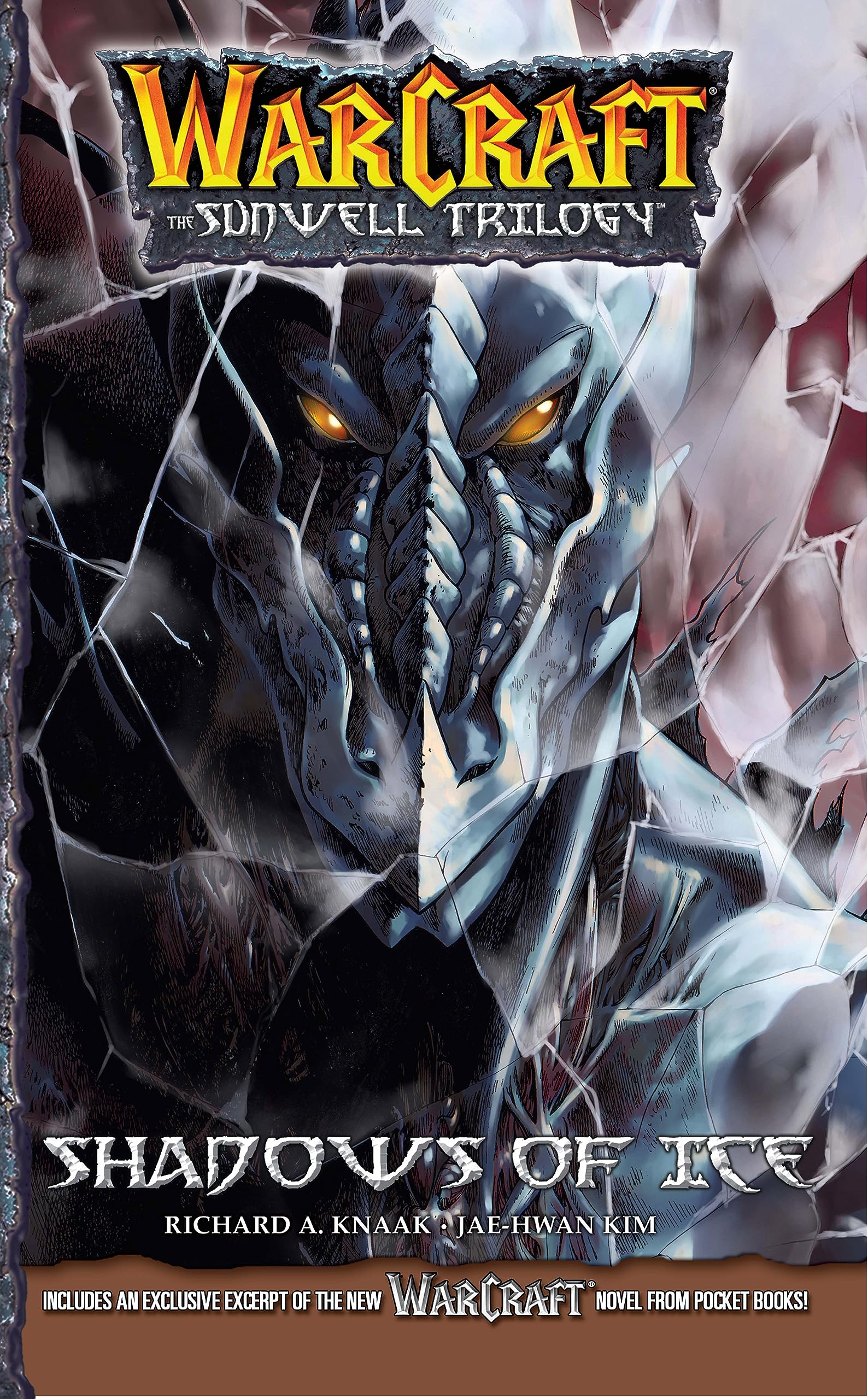 Warcraft: The Sunwell Trilogy - Shadows of Ice, Volume Two (Warcraft: Blizzard Manga)
