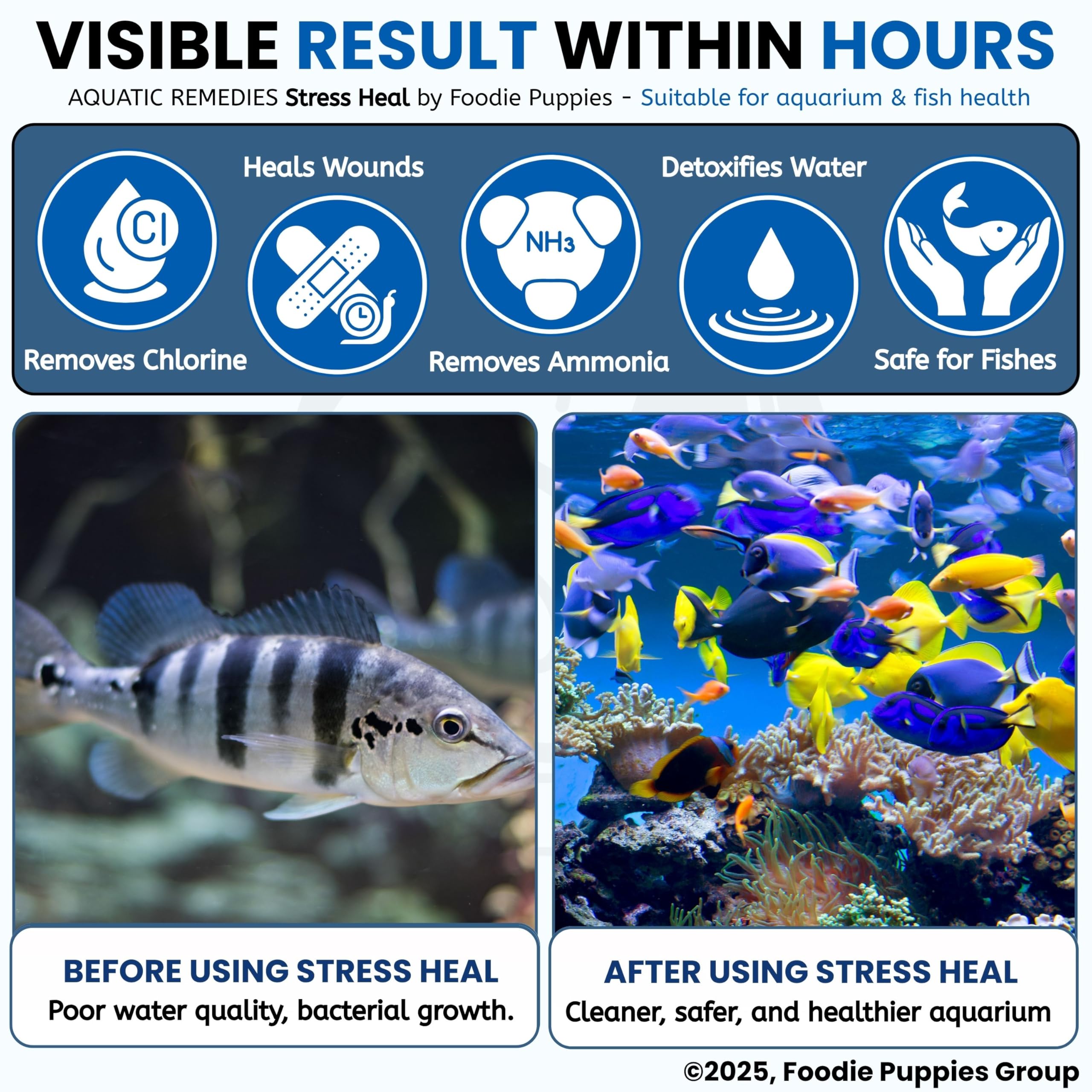 Foodie Puppies Aquatic Remedies Stress Heal - 100ml | Suitable for Fresh and Salt Water | Rapidly Reduces Stress and Mortality | Aquarium Water Conditioner 3