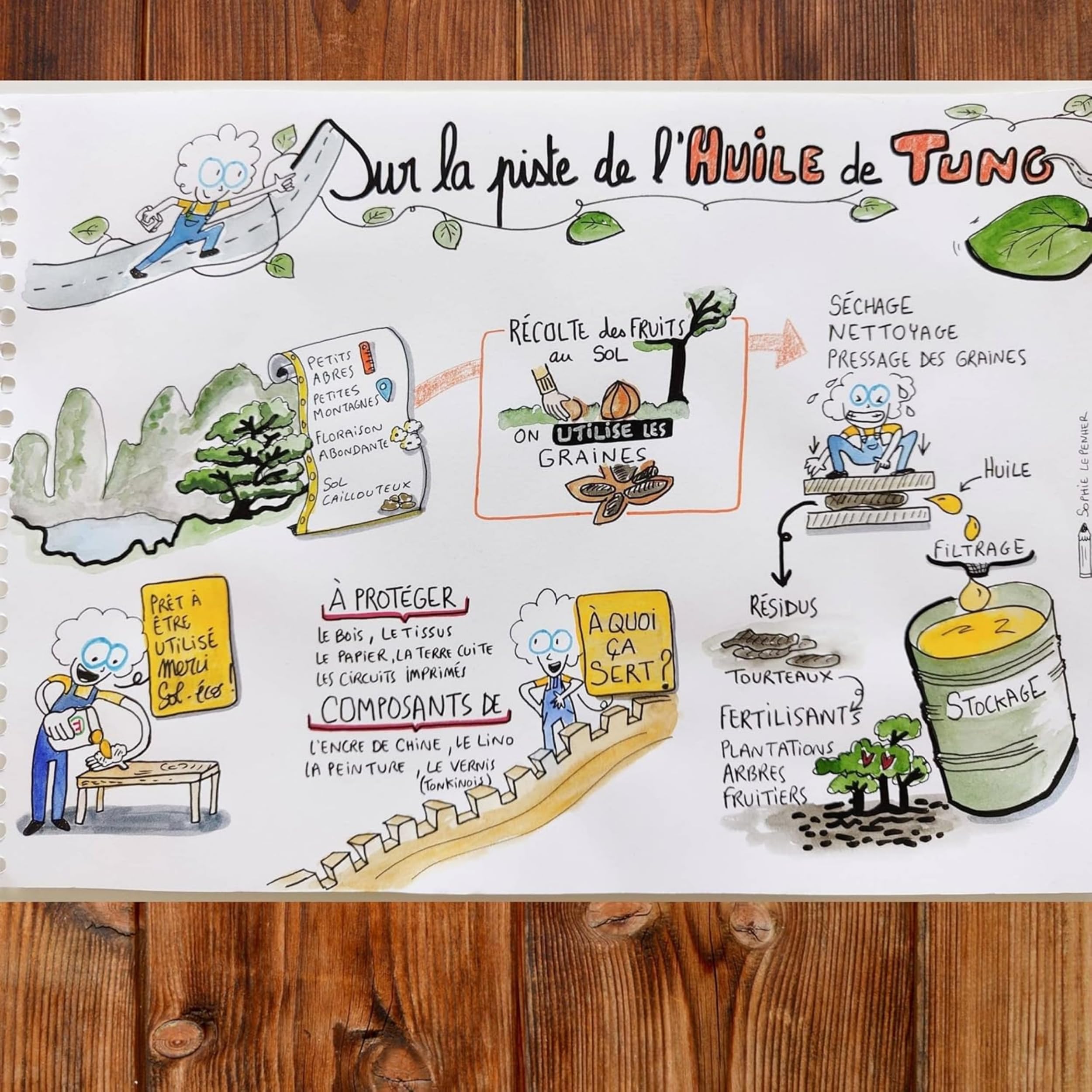 (Sol-éco) Huile Pure Tung | Protection et entretien du bois intérieur/extérieur | Contact alimentaire | Meubles de jardin, plan de travail, terrasse, cuisine, planches à découper, teck, parquet 1L