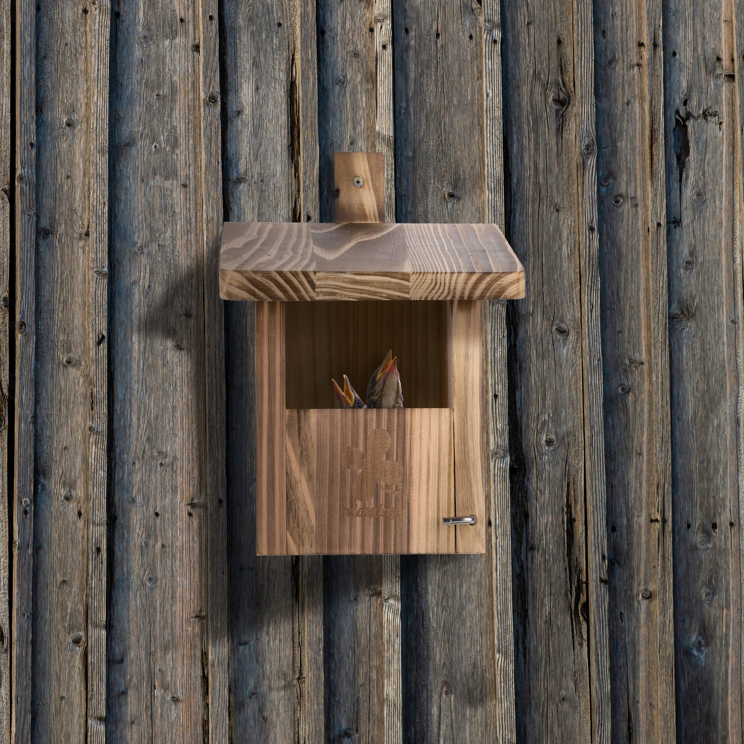 Relaxdays Nichoir d'extérieur pour Oiseaux Semi-cavernicoles, Fente d'envol HL 65x96 cm, Sapin, Jardin, terrasse, Nature