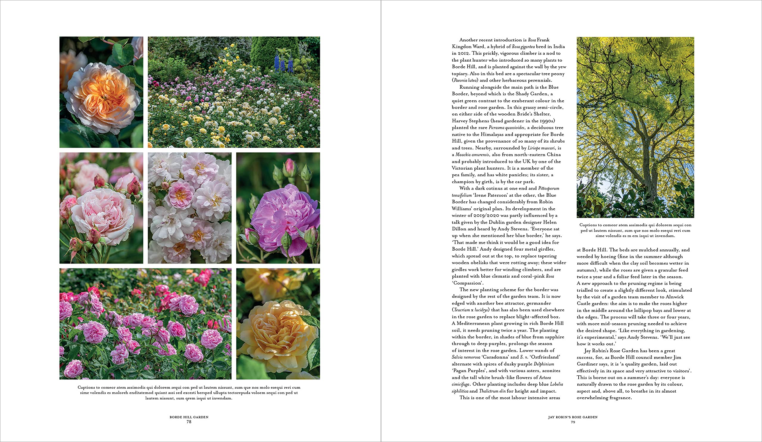 Borde Hill Garden: A Plant Hunter's Paradise