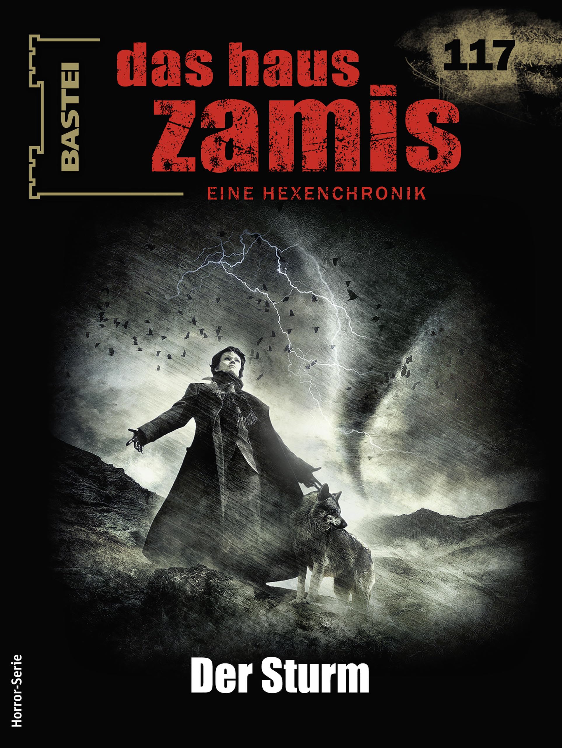 Cover of Das Haus Zamis, #117: Der Sturm