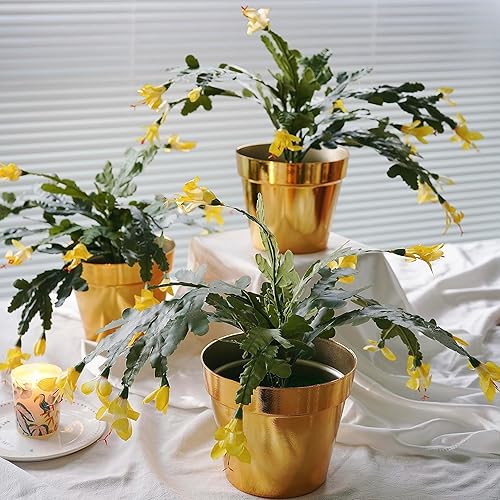 alyptus Artificial Yellow Christmas Cactus Flowers with Pot Set of