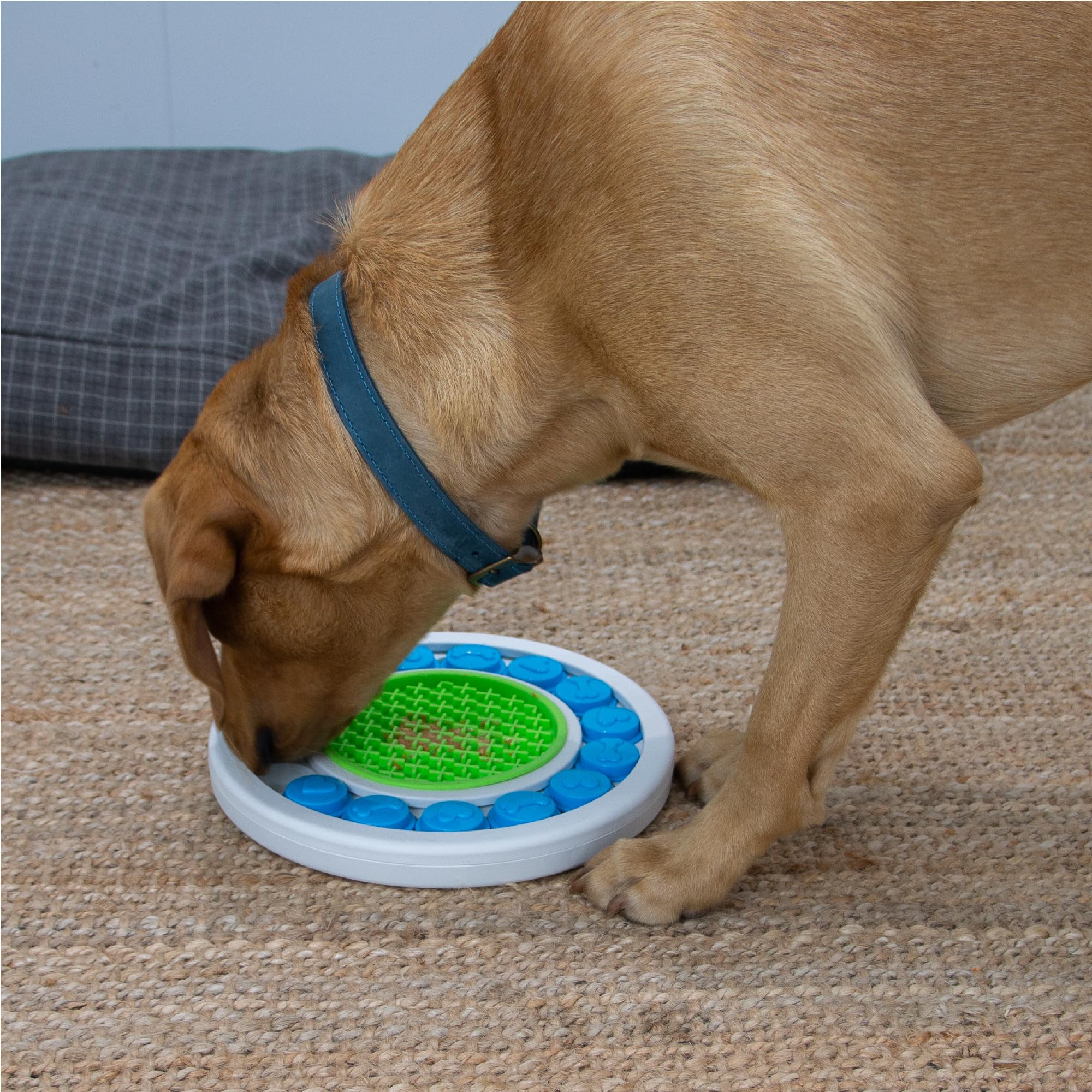Ancol rva Puzzle Ring Interactive Dog Toy - Boredom Buster Brain Stimulating - Smell Training Foraging Toy Features Lick Mat - Image 3