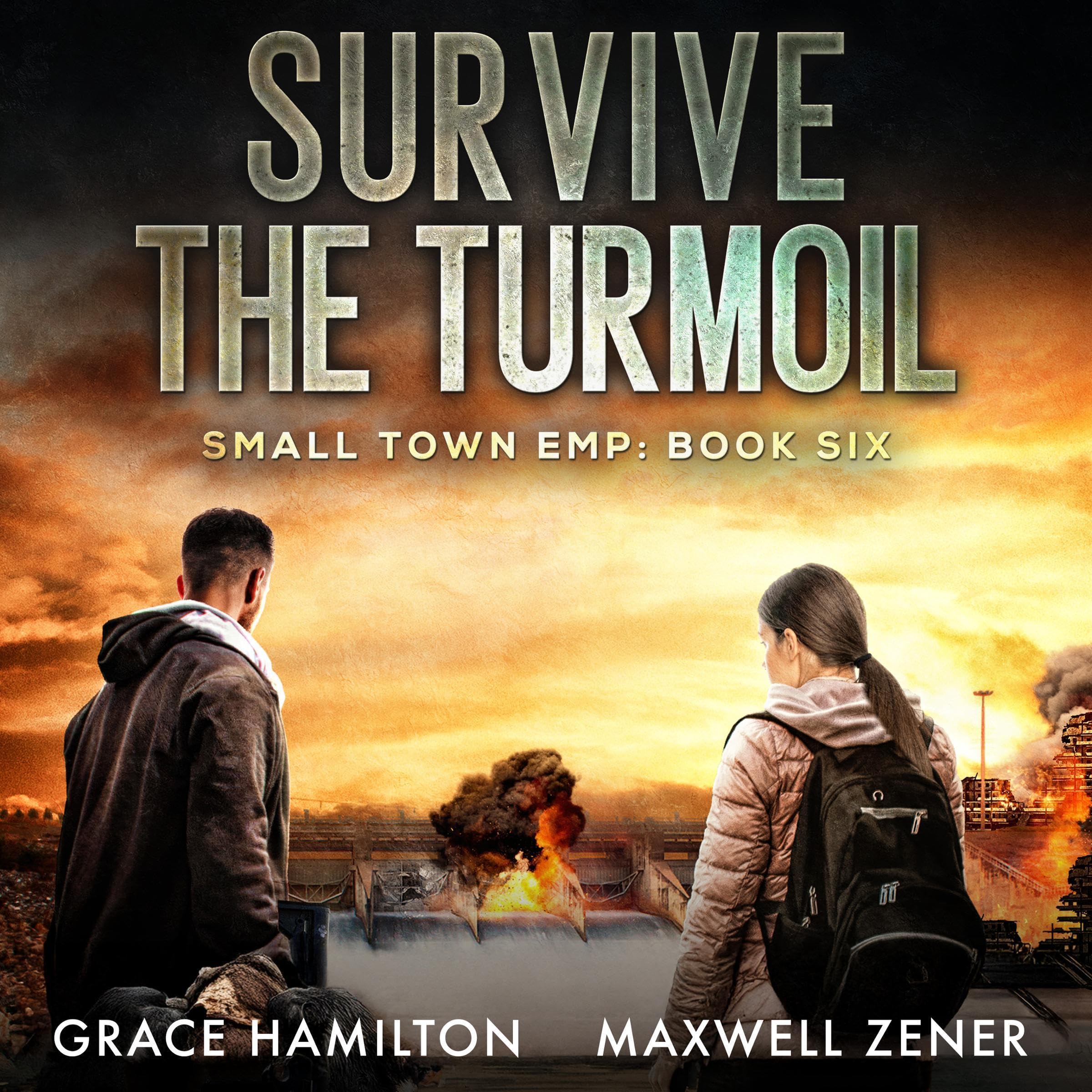 Cover art for Survive the Turmoil