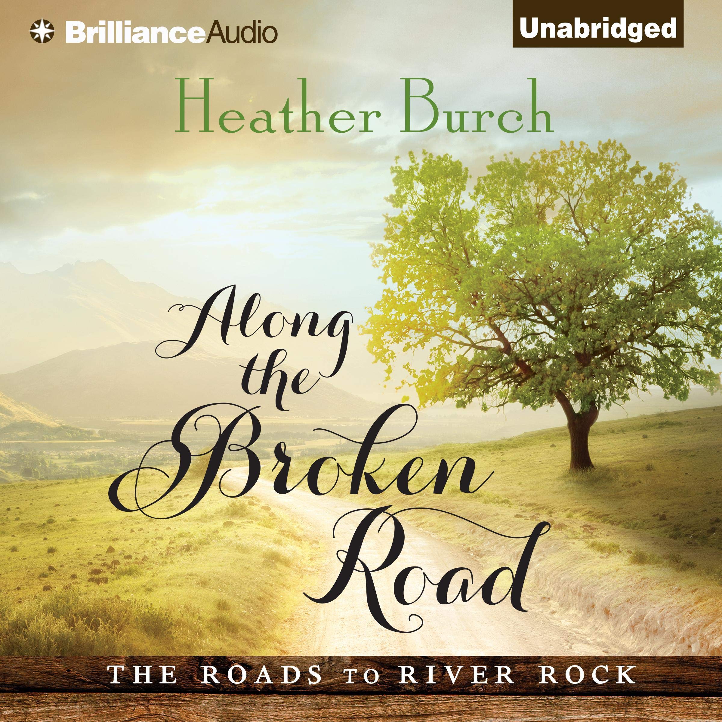 Cover art for Along the Broken Road