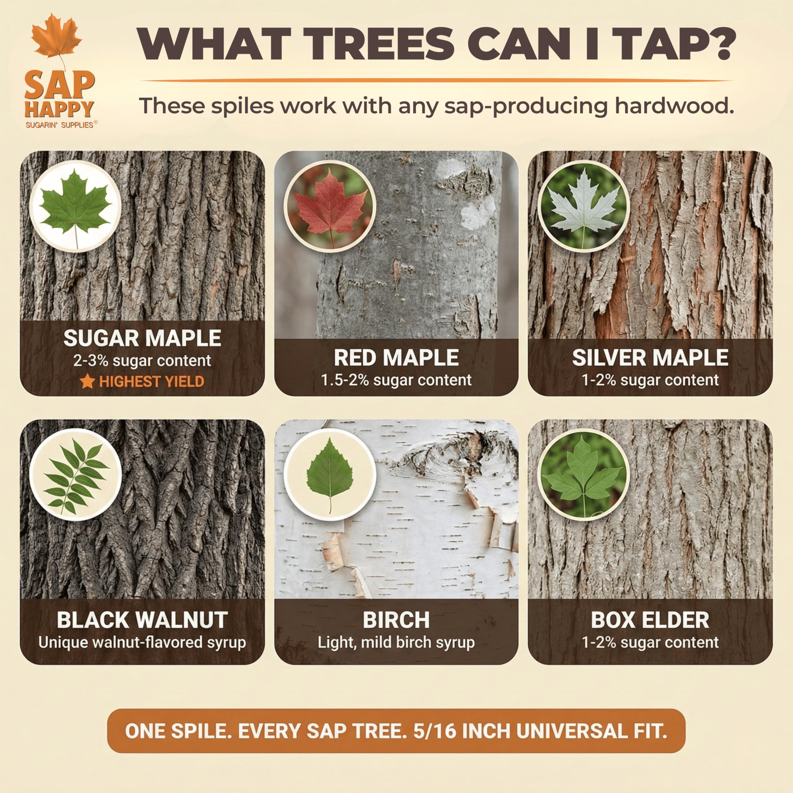 Maple Sap Spiles, 5/16 Zoll Ecolo Wasserhähne für Ahornbäume, Ahornsirup Spile (10)