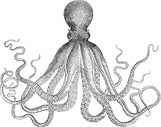 WallPops DWPK2170 Ink Wall Art Kit, Black