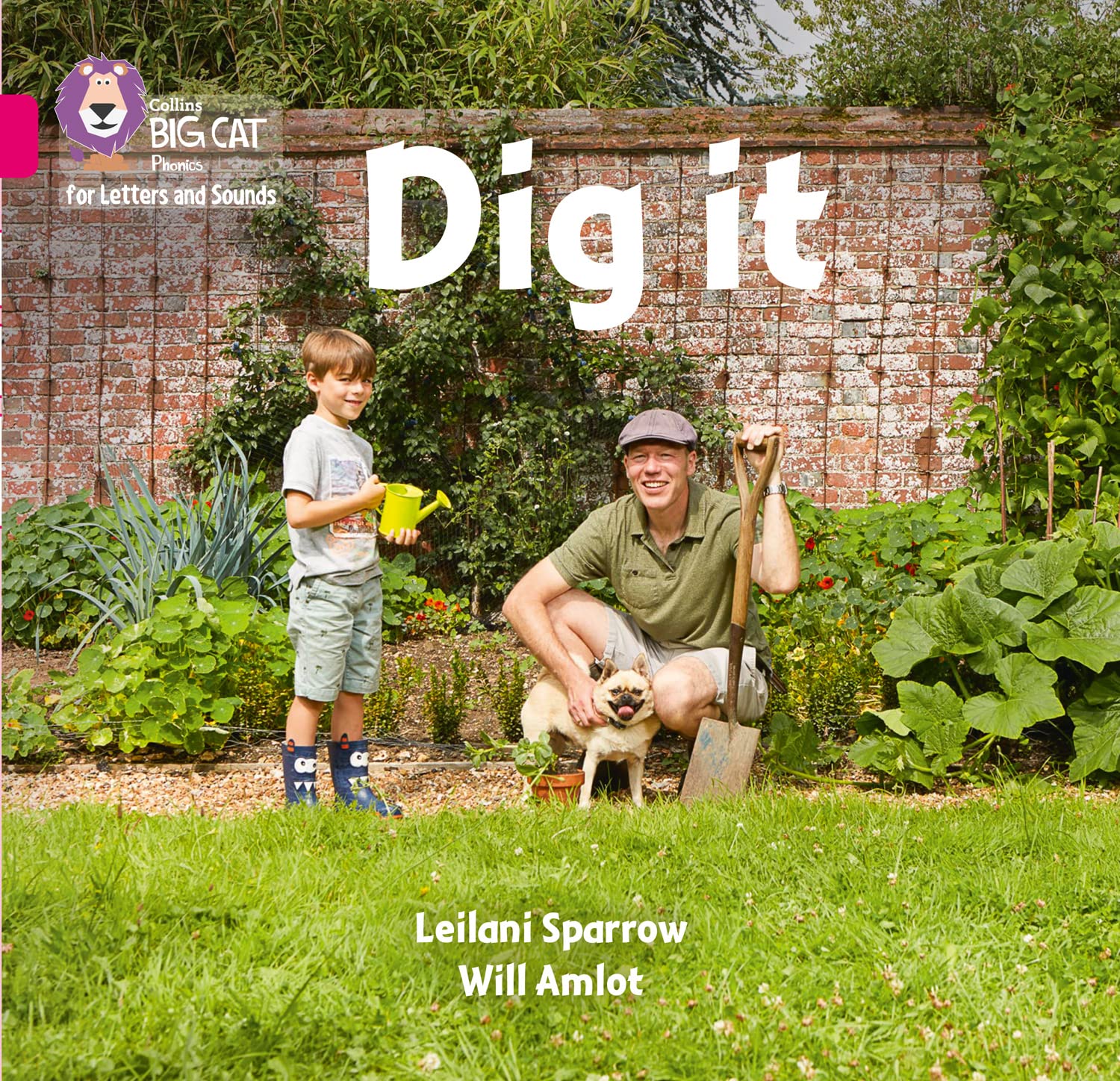 Dig it: Band 01B/Pink B (Collins Big Cat Phonics for... - Sparrow, Leilani