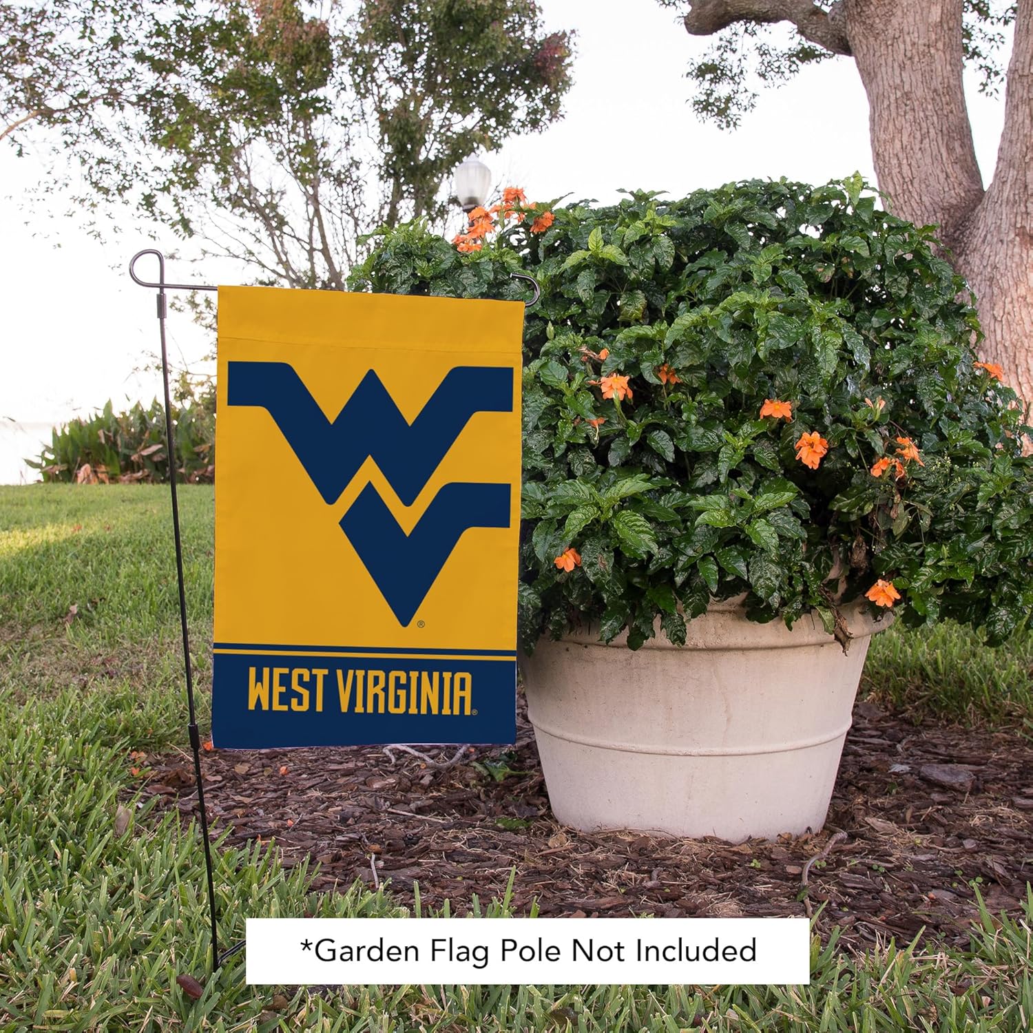 Desert Cactus West Virginia University WVU Garden Flag – 19 x 12 inch West Virginia Mountaineers Banner, For Outdoor Display and Events (Design B) - Image 6