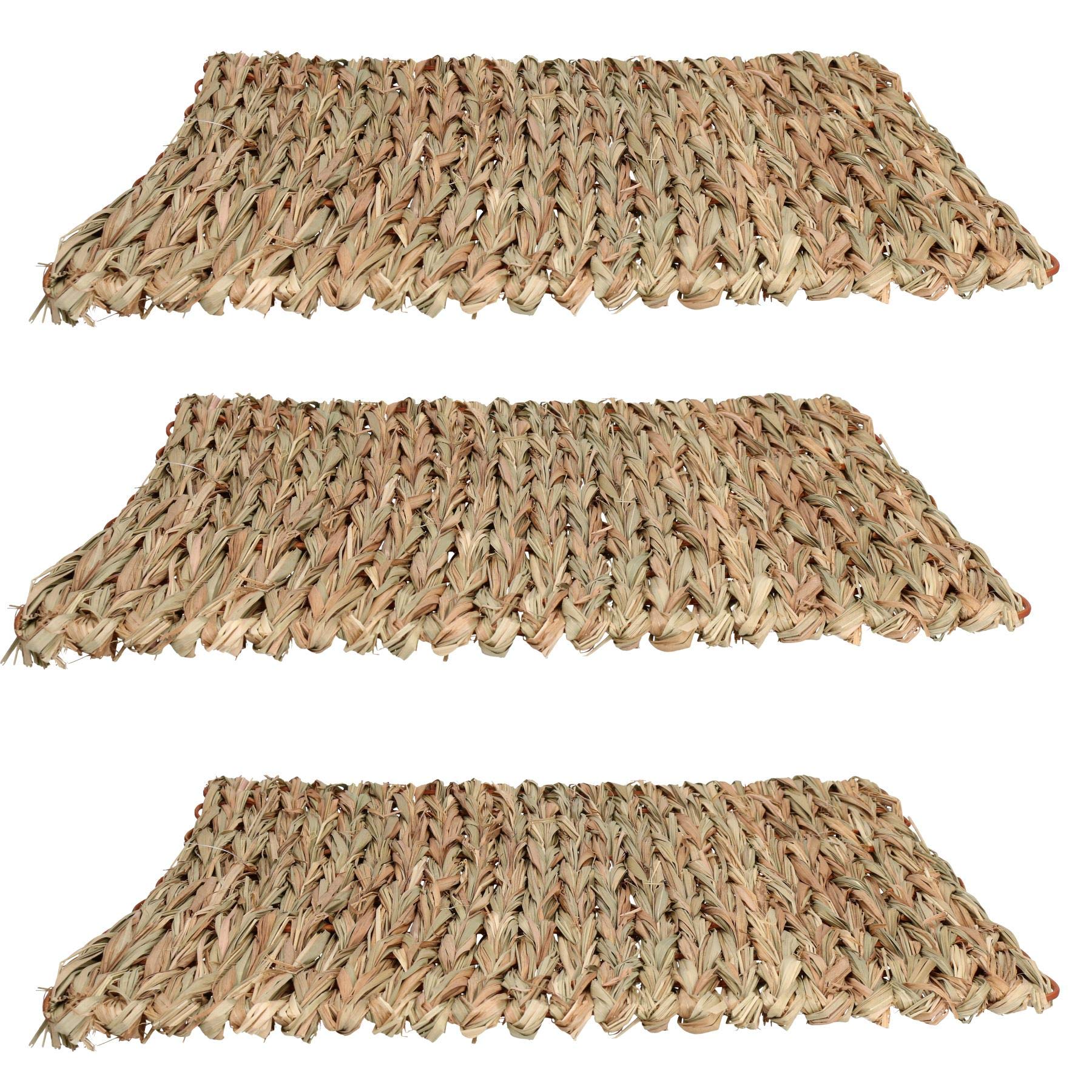 Tapis à mâcher pour petits animaux : Protégez vos meubles avec ce lot de 3 tapis de 30 x 35 cm