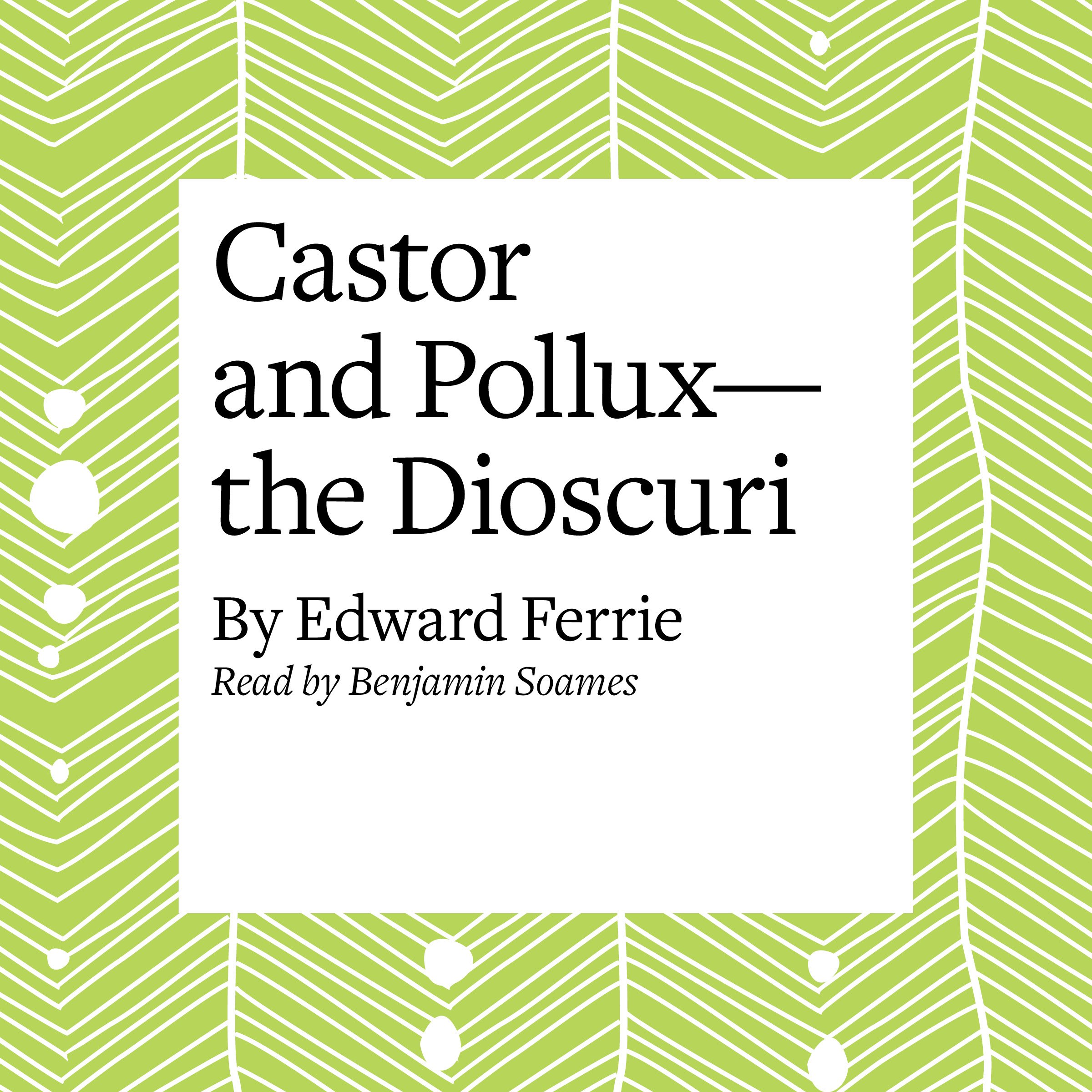 Castor and Pollux - the Dioscuri