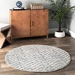 NuLOOM Rosanne Transitional Zone rayée Rug, 4x6, bleu