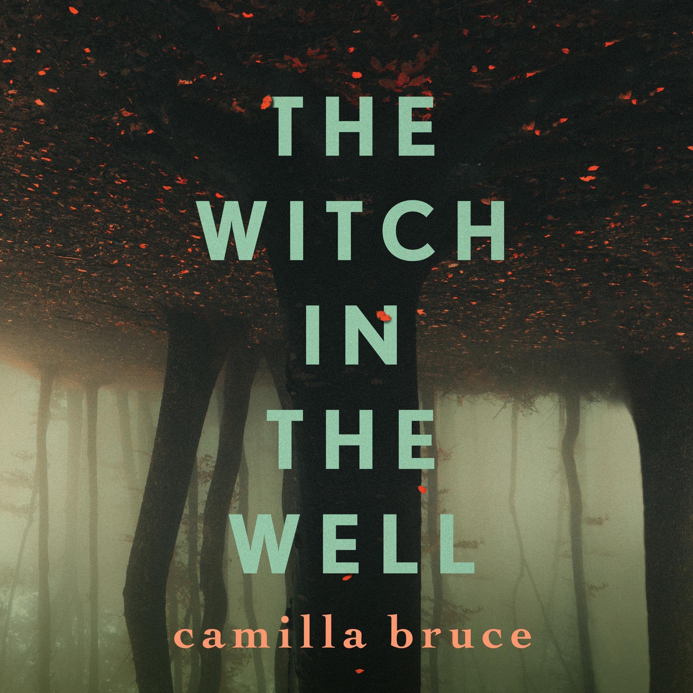 The Witch in the Well
