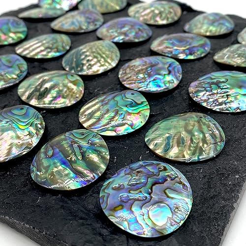 Miniatura 3 de Padre - Colgante cóncavo de concha de abulón de Nueva Zelanda, Concha