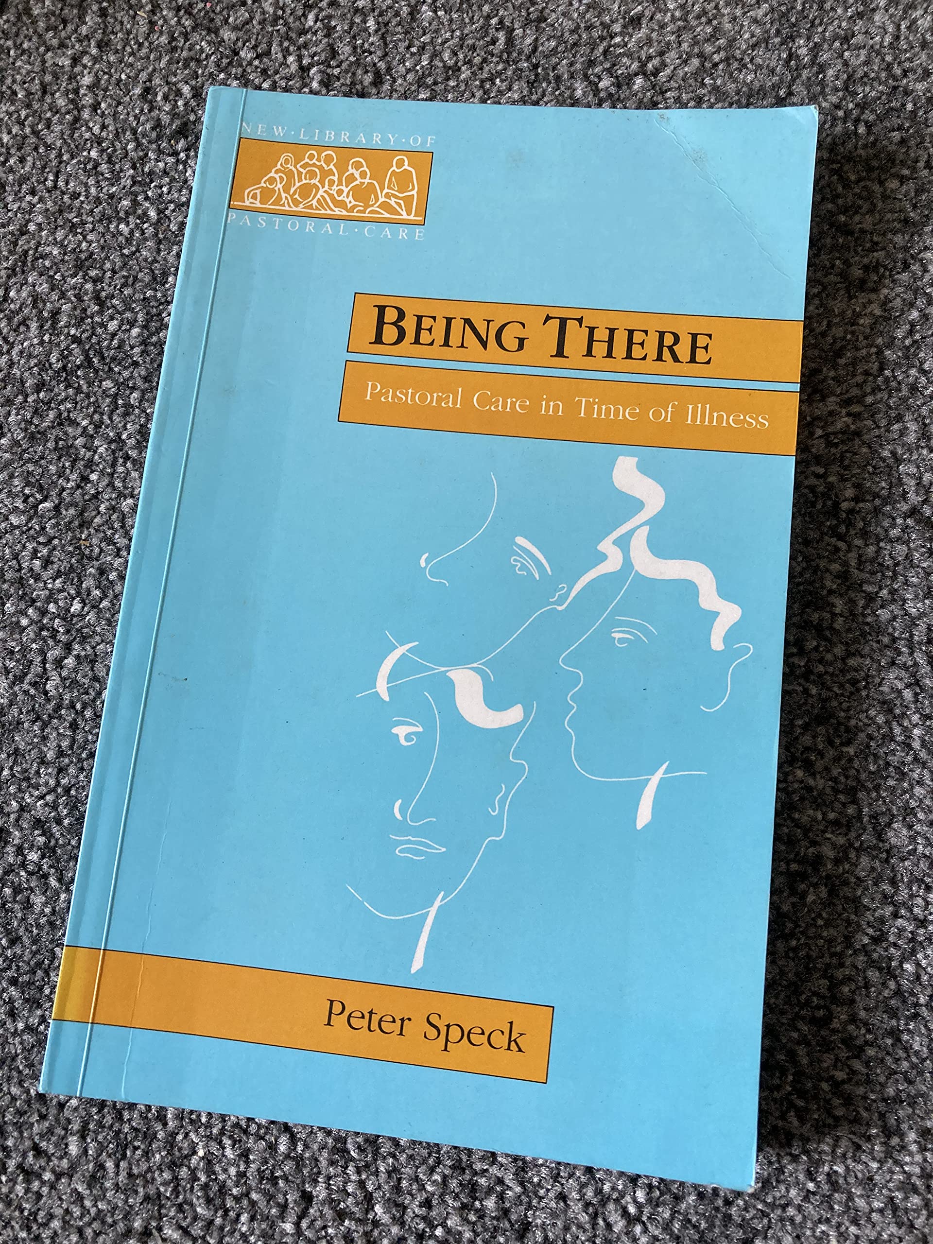 Being There - Pastoral Care in Times of Illness (New Library of Pastoral Care)